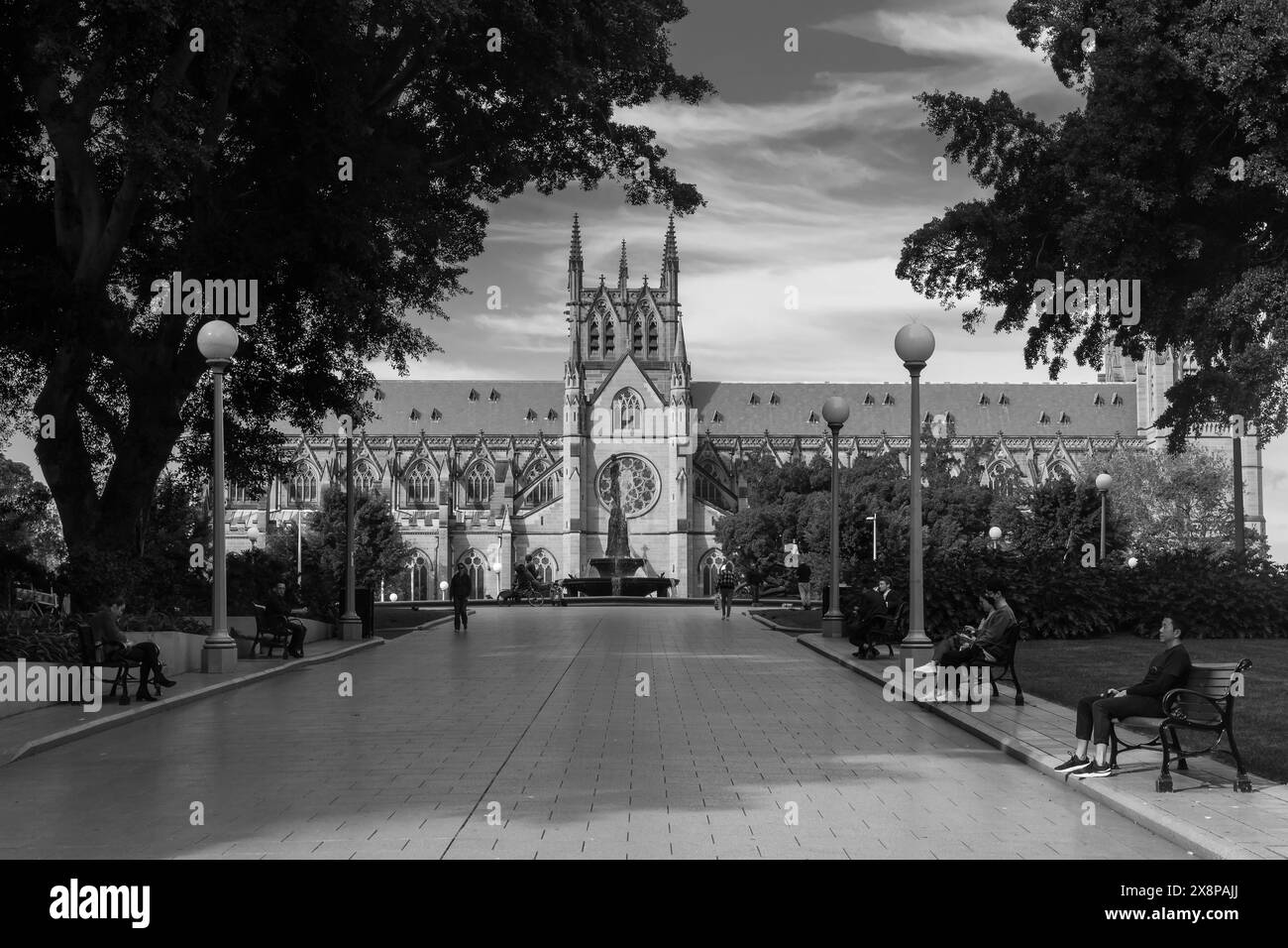 St Mary's Cathedral aus dem Hyde Park, Sydney, Australien, während der COVID-19-Pandemie. Foto in Schwarzweiß. Stockfoto
