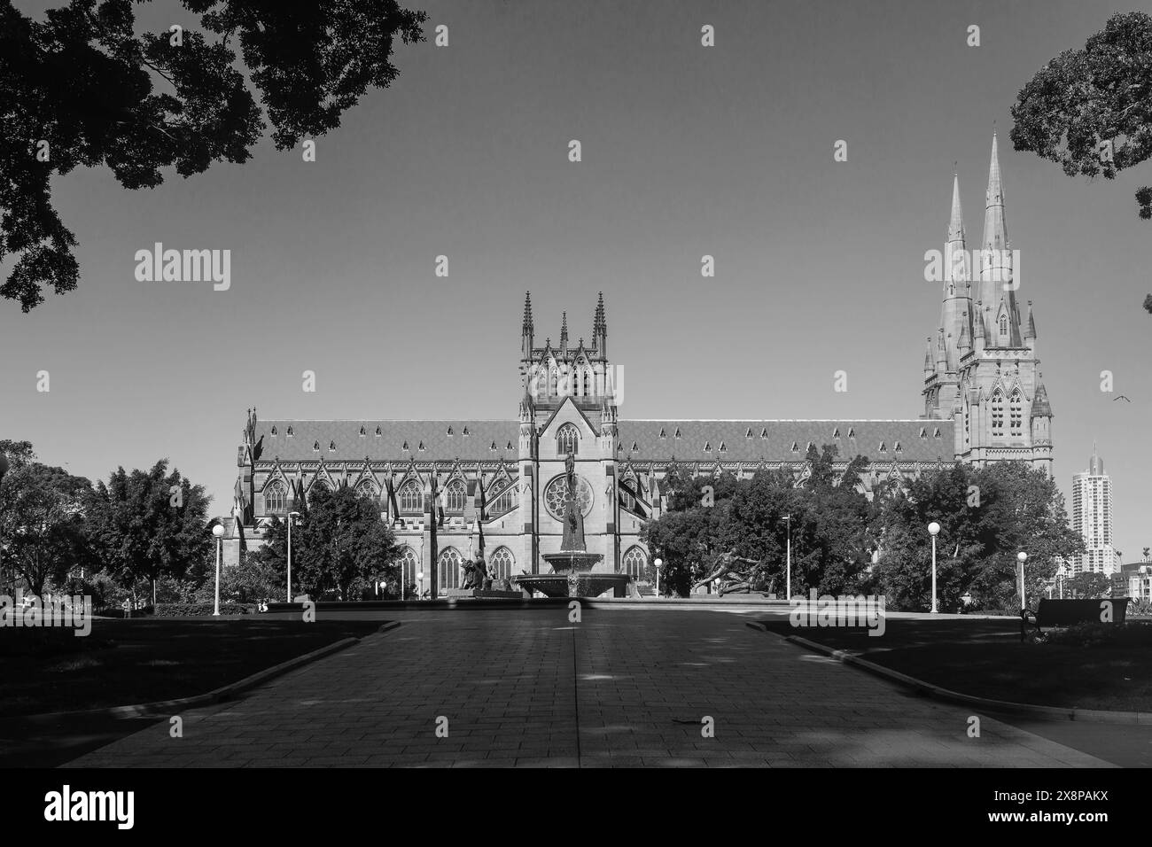 St Mary's Cathedral aus dem Hyde Park, Sydney, Australien, während der COVID-19-Pandemie. Foto in Schwarzweiß. Stockfoto