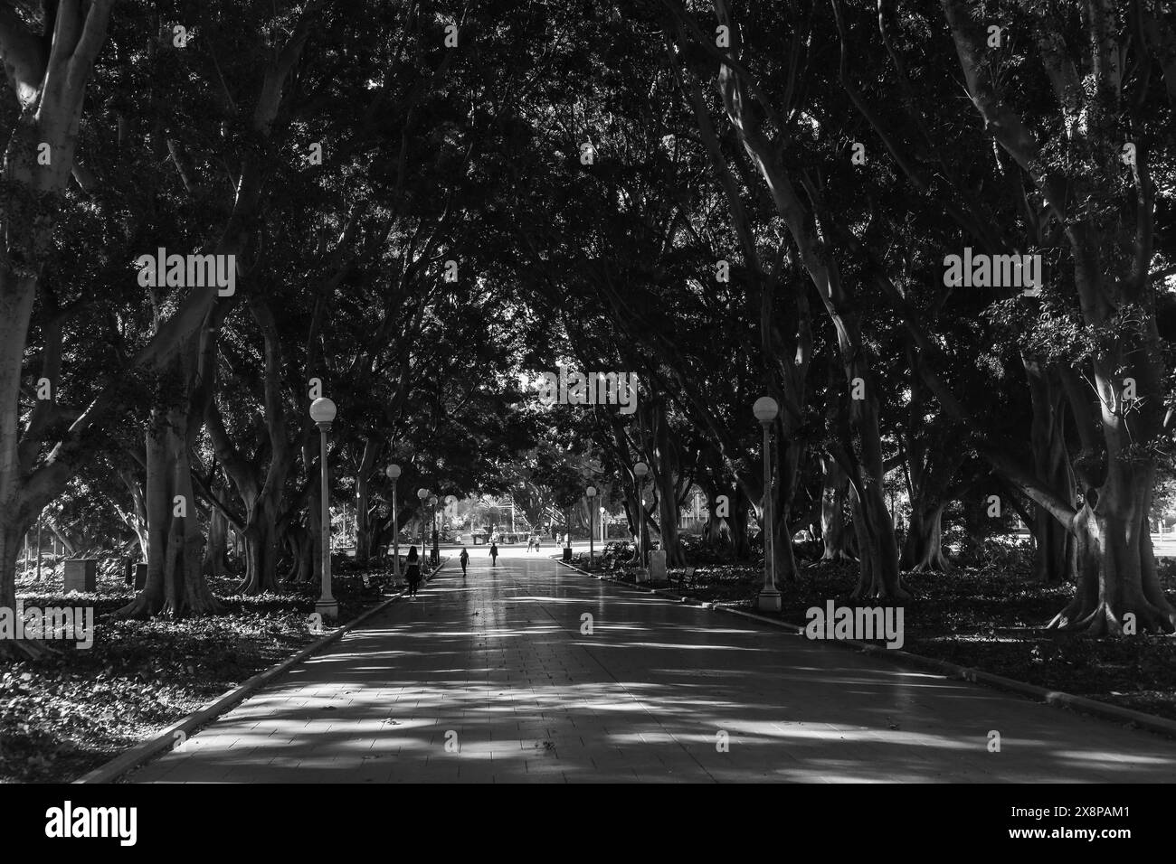 Der zentrale Geschäftsbezirk von Sydney sieht sehr verlassen aus, da die Lockdown in Sydney aufgrund des Delta-Stamms von COVID-19 fortgesetzt wird. Hyde Park, Sydney. Stockfoto
