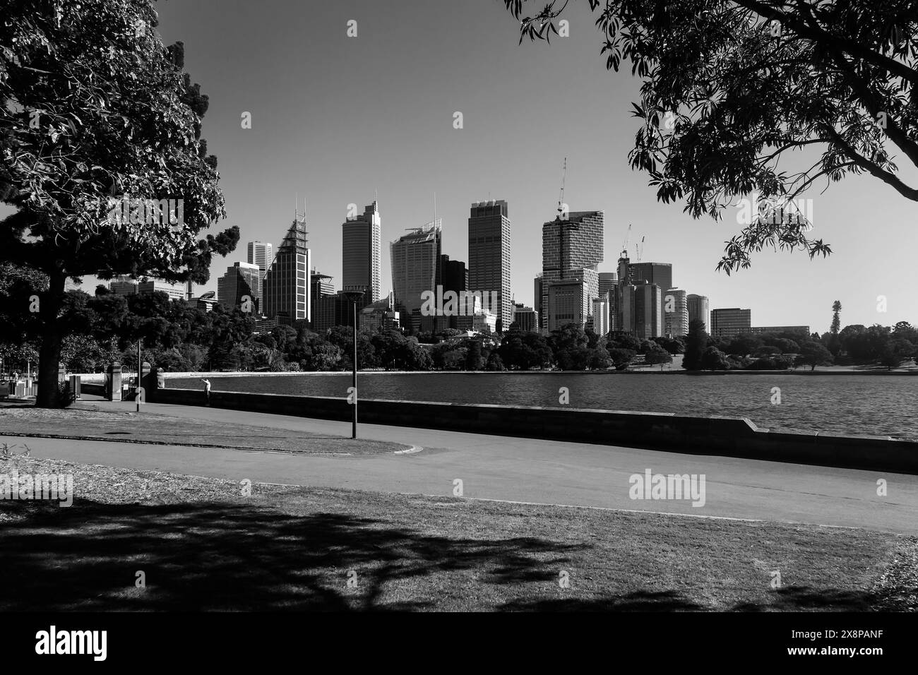 Allgemeine Ansichten des Geschäftsviertels von Sydney vom Royal Botanic Garden. Die Lockdown-Beschränkungen für den Großraum Sydney wurden um vier Wochen bis zum 28. August verlängert Stockfoto