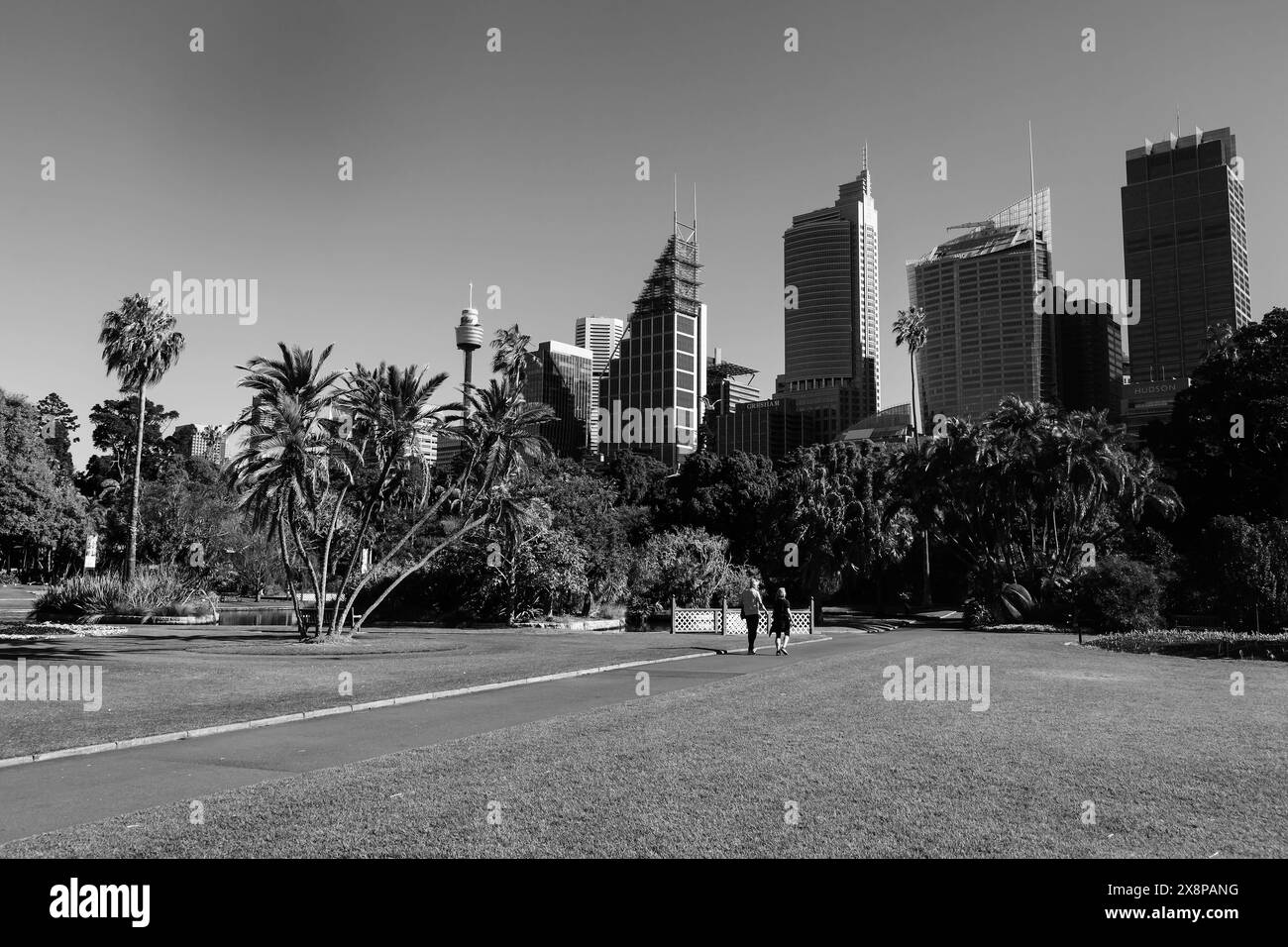 Allgemeine Ansichten des Geschäftsviertels von Sydney vom Royal Botanic Garden. Die Lockdown-Beschränkungen für den Großraum Sydney wurden um vier Wochen bis zum 28. August verlängert Stockfoto