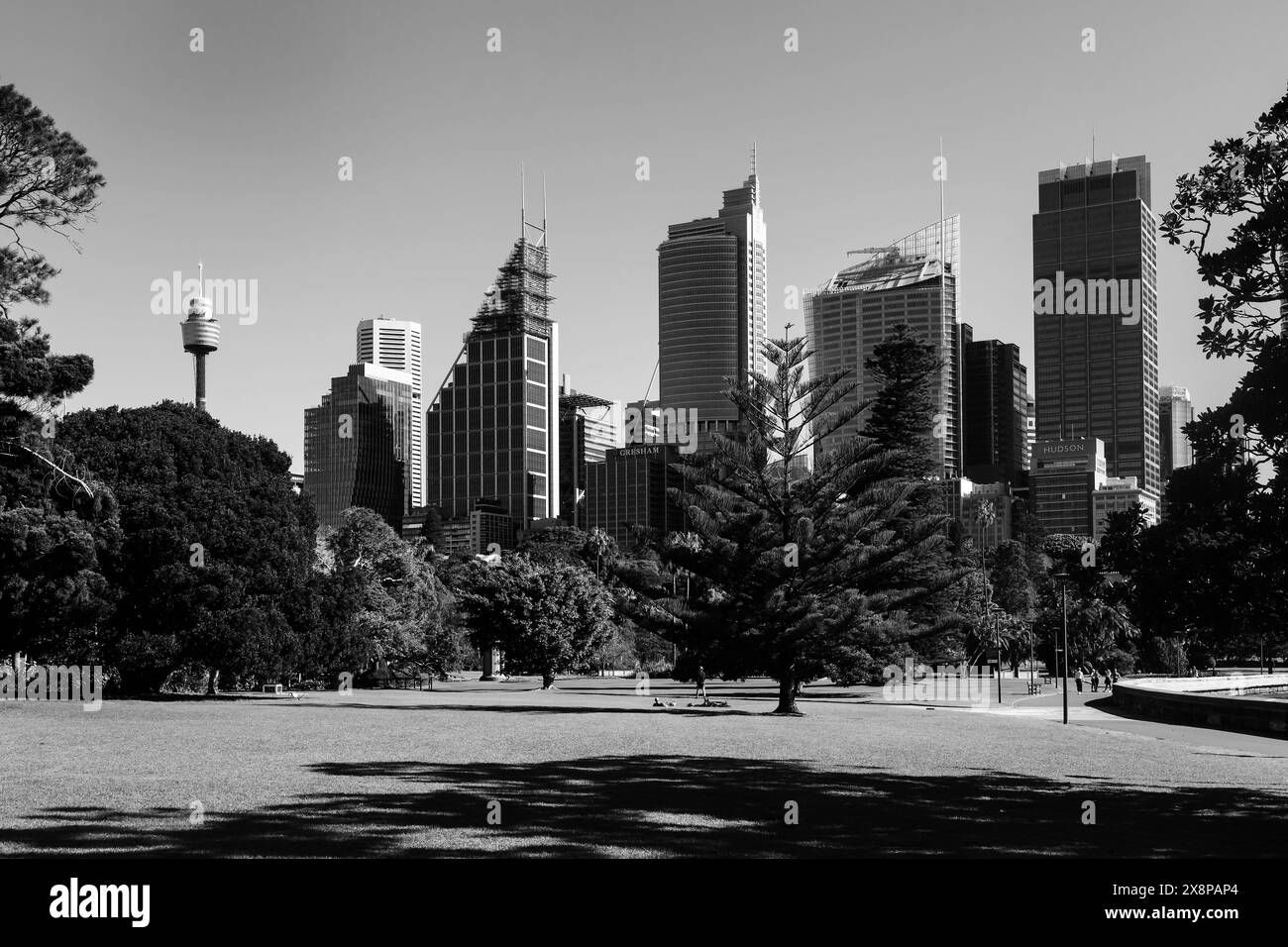Allgemeine Ansichten des Geschäftsviertels von Sydney vom Royal Botanic Garden. Die Lockdown-Beschränkungen für den Großraum Sydney wurden um vier Wochen bis zum 28. August verlängert Stockfoto