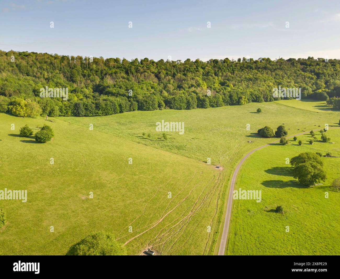 Das Haus und der Park des Titsey Place werden von einer gemeinnützigen Stiftung in der Nähe von Oxted in surrey verwaltet Stockfoto