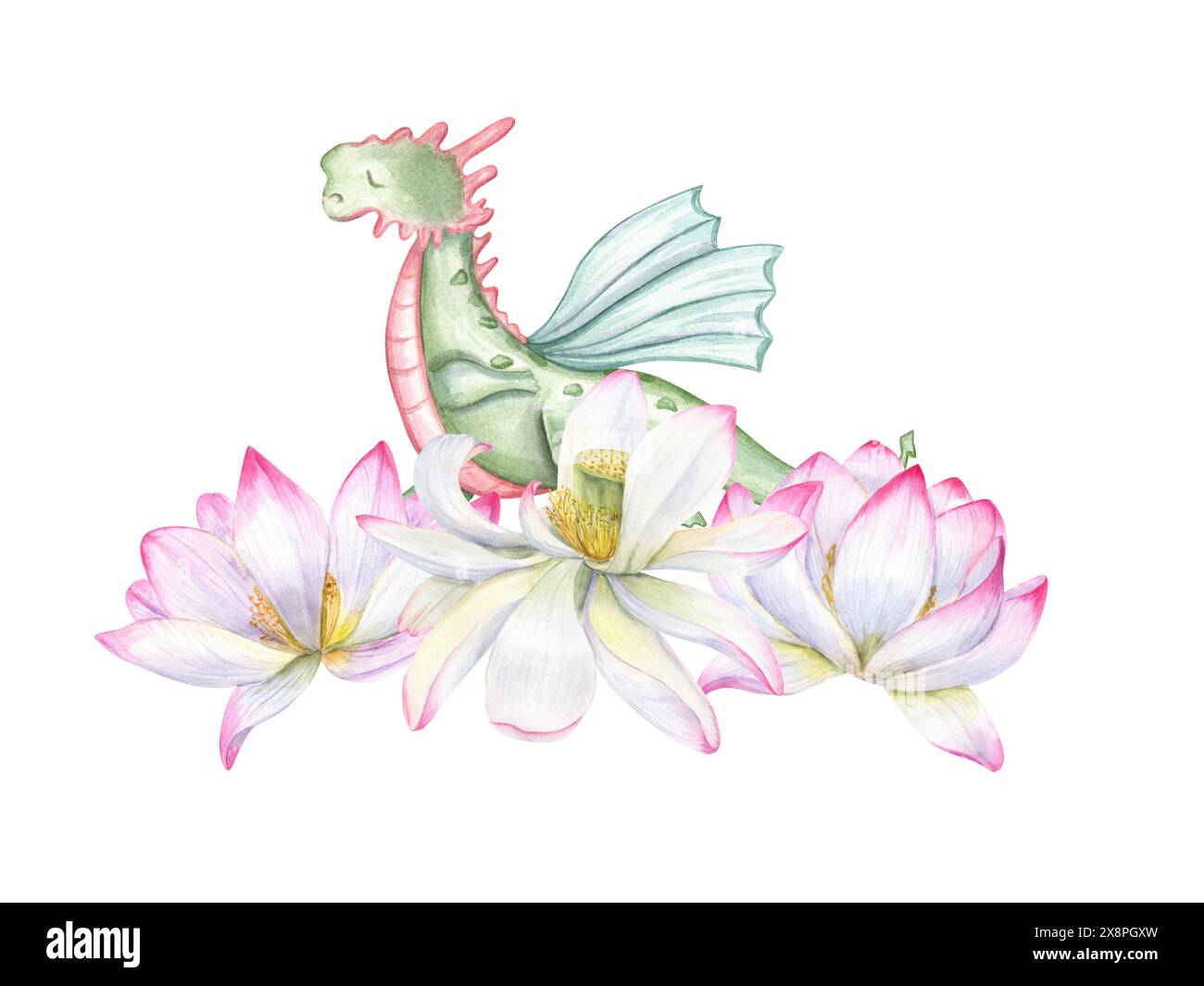 Grüner Drache, der in Dreieckspose zwischen blühenden Seerosen steht. Yoga-Übungen bei Tieren. Blumenzusammensetzung. Drei feine Lotusblüten Stockfoto