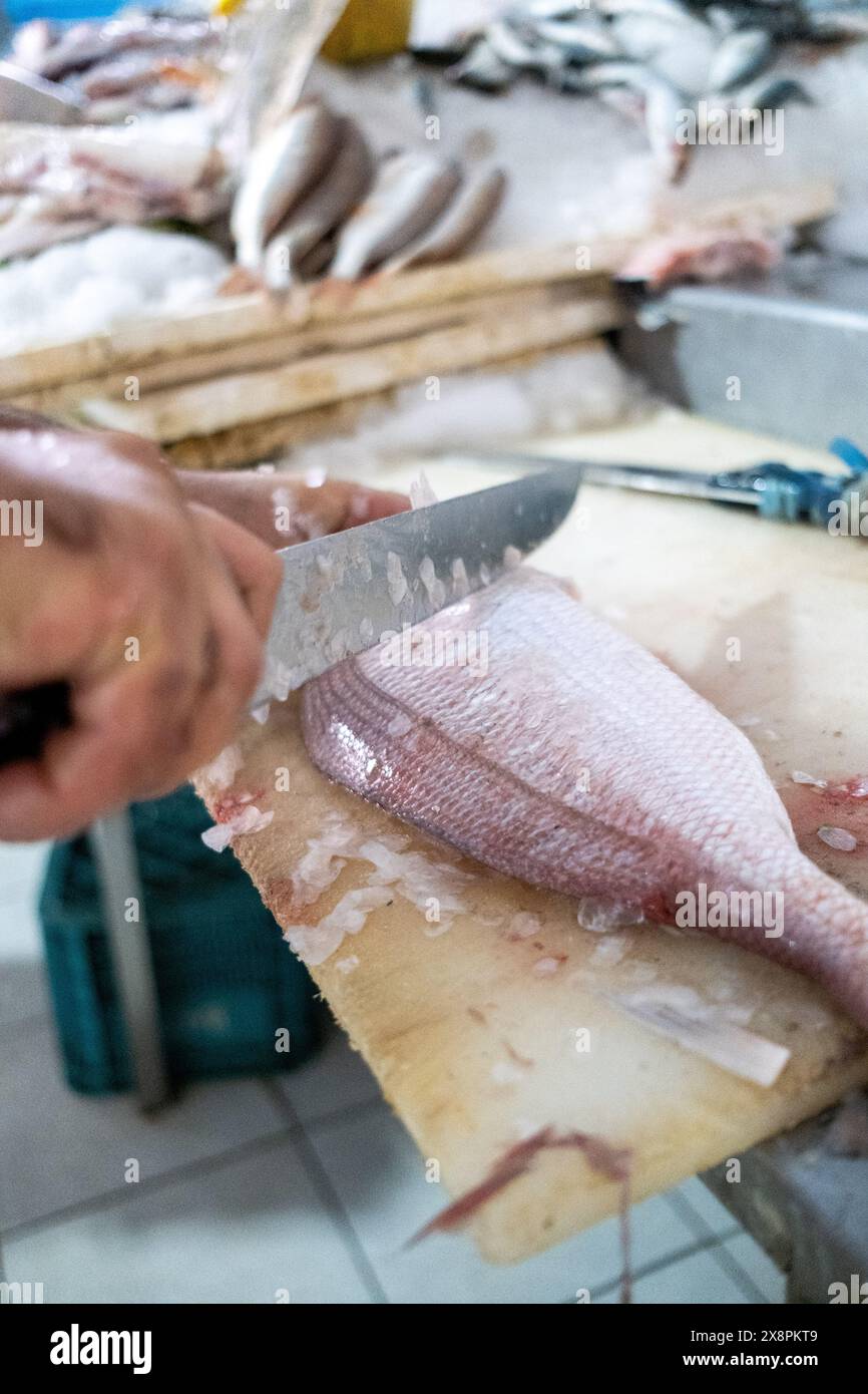 Nahaufnahme eines Verkäufers, der einen Fisch auf dem zentralen Markt von Casablanca reinigt, im Art déco-Viertel, dem europäischen Viertel der Stadt un Stockfoto