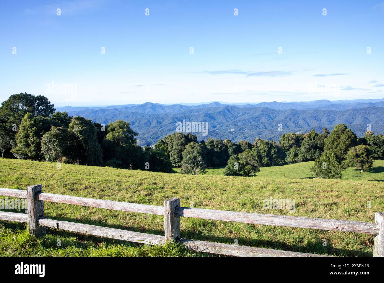 Dorrigo Mountain und Griffith Lookout über den Gondwana Regenwald in Richtung Nambucca Heads und anderer Bergketten in New South Wales, Australien Stockfoto