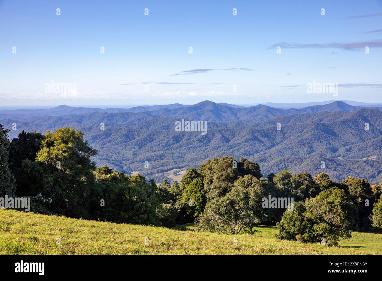 Dorrigo Mountain und Griffith Lookout über den Gondwana Regenwald in Richtung Nambucca Heads und anderer Bergketten in New South Wales, Australien Stockfoto