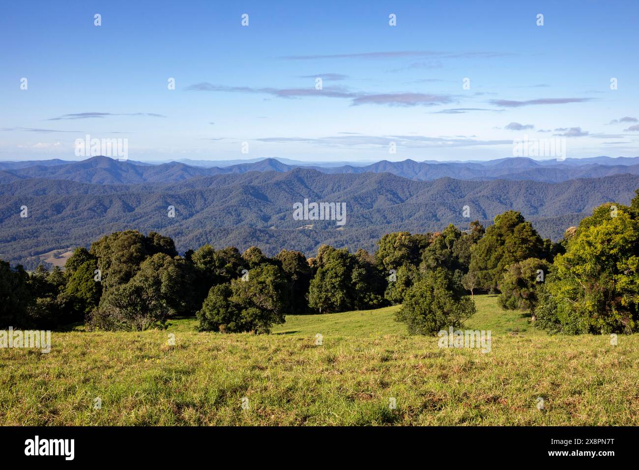 Dorrigo Mountain und Griffith Lookout über den Gondwana Regenwald in Richtung Nambucca Heads und anderer Bergketten in New South Wales, Australien Stockfoto