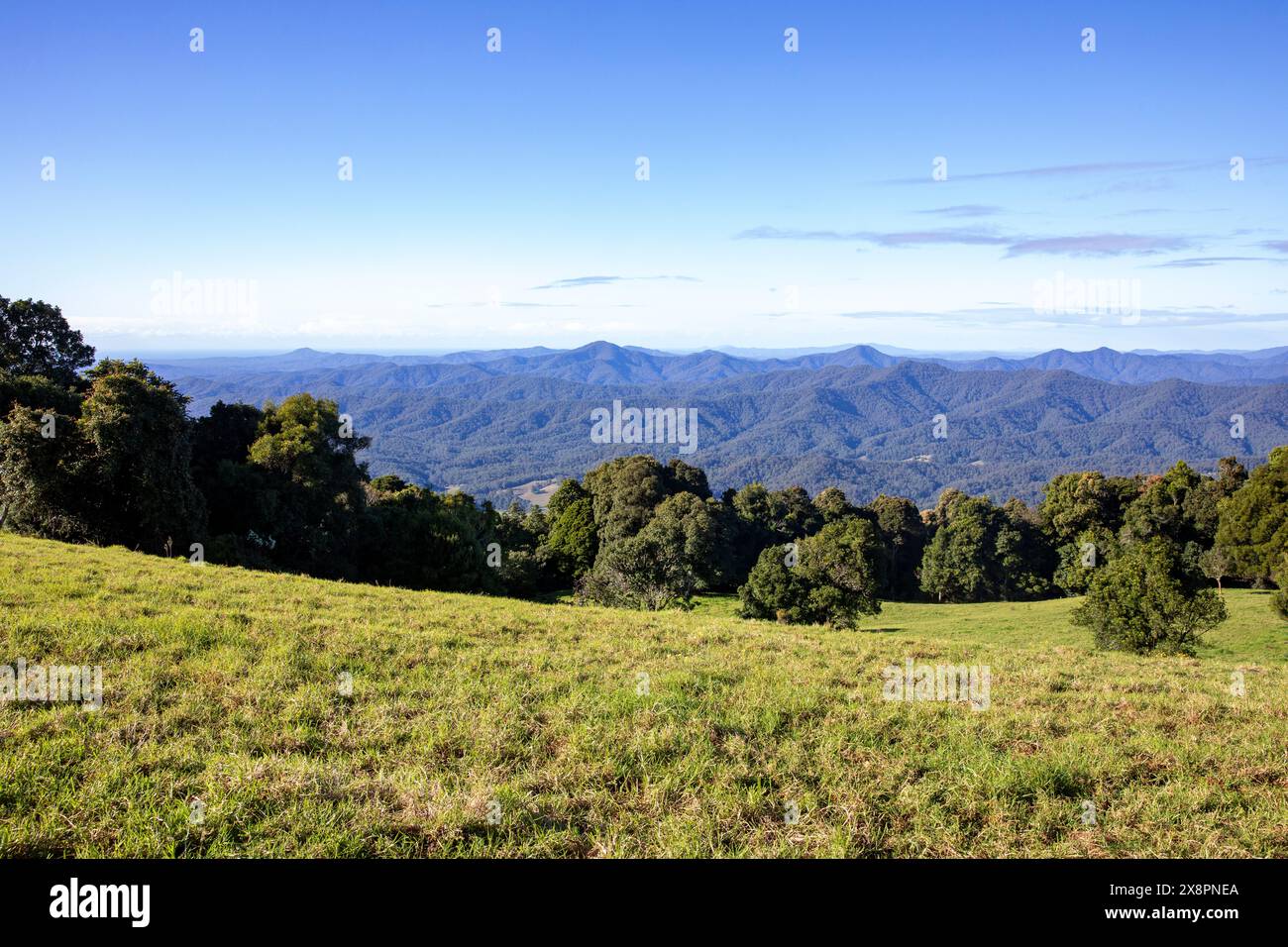 Dorrigo Mountain und Griffith Lookout über den Gondwana Regenwald in Richtung Nambucca Heads und anderer Bergketten in New South Wales, Australien Stockfoto