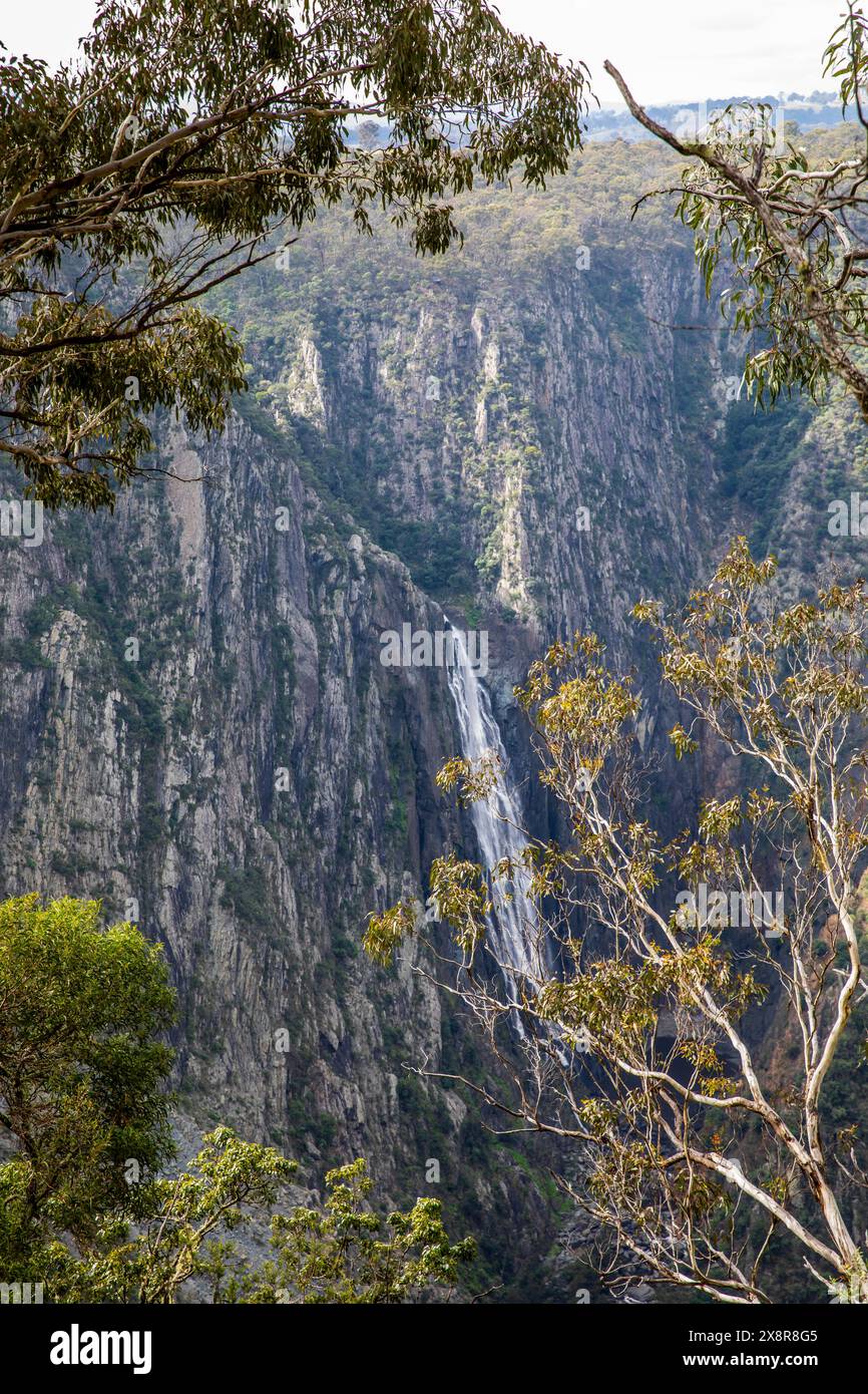 Wollemombi Wasserfall Falls im Oxley Rivers National Park, Australiens zweitgrößter Wasserfall, mit chandler Falls in NSW, Australien Stockfoto