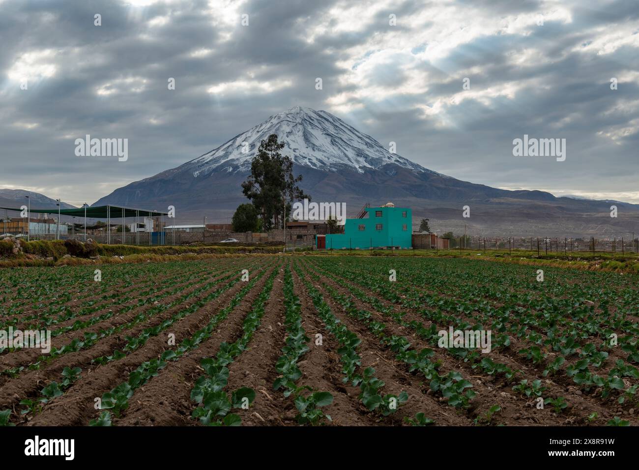 Misti Vulkan mit Schnee im Sommer mit Ackerfeld, Arequipa, Peru. Stockfoto