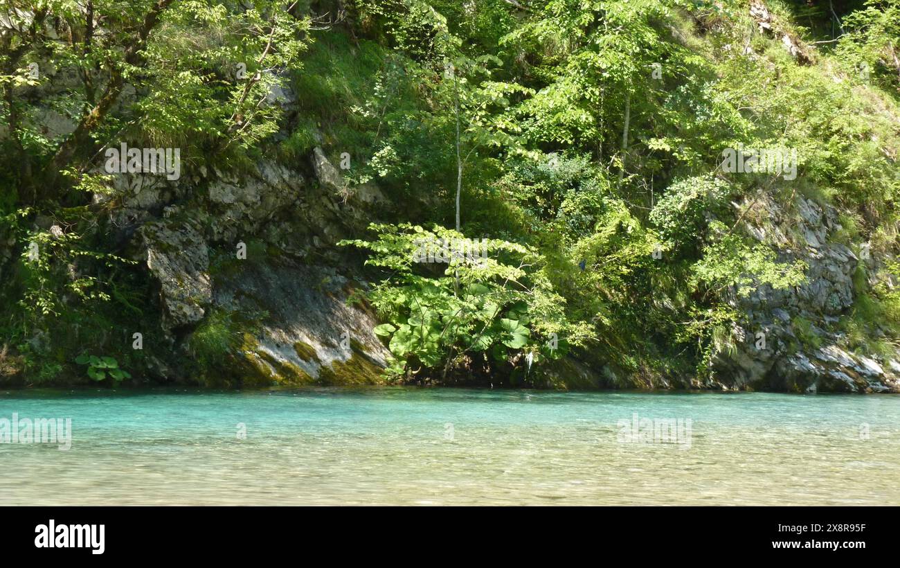 Blick auf den fluss Stockfoto