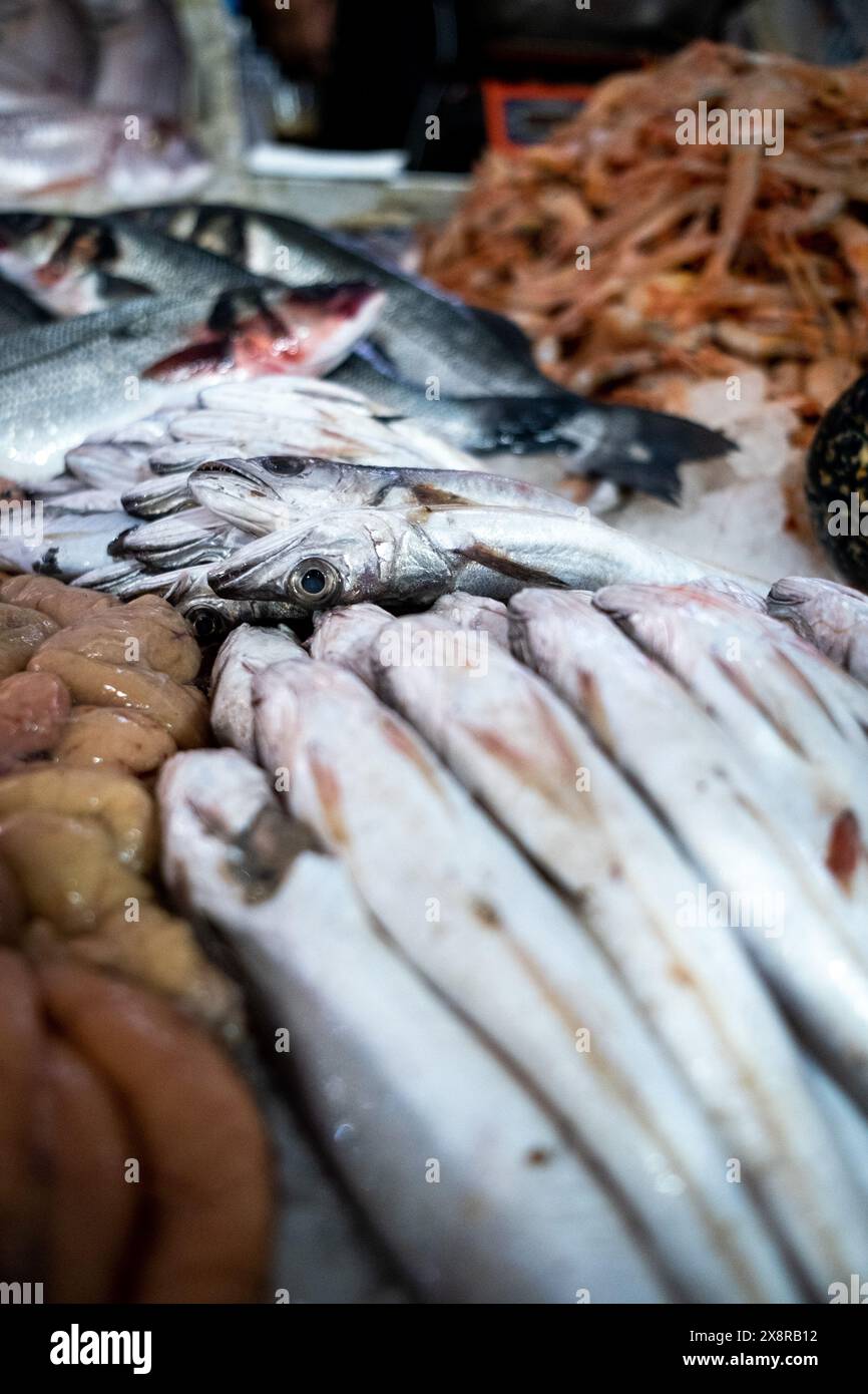 Blick auf einen Meeresfrüchtestand mit einer Vielzahl von Fisch, einschließlich Brassen und Sardellen, auf dem Central Market von Casablanca, im Art déco-Viertel, der Stockfoto