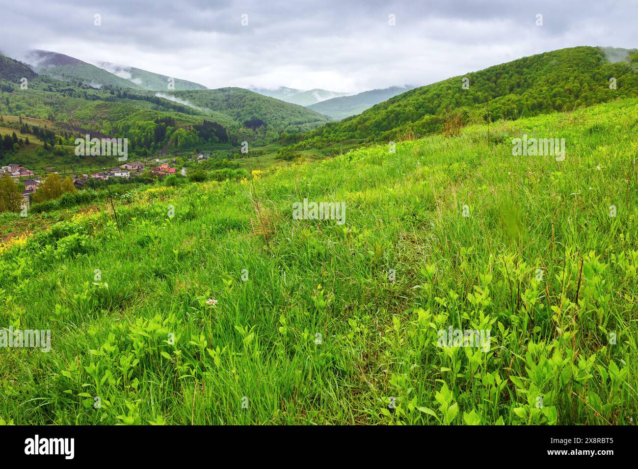 Ländliche Landschaft in karpaten der ukraine. alpine Landschaft mit grasbewachsenen Wiesen und bewaldeten Hügeln im Frühling. Malerische Aussicht o Stockfoto