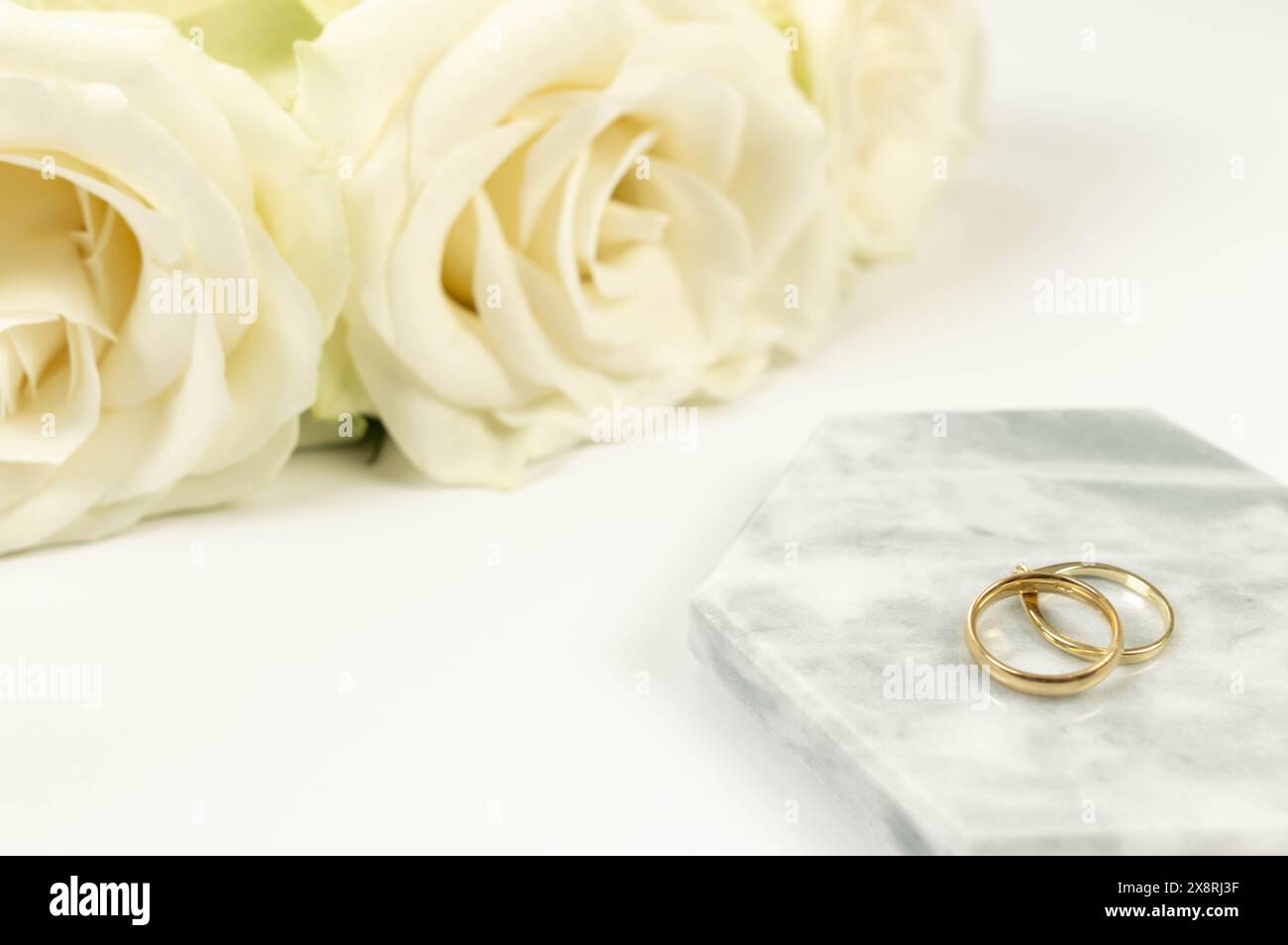 Weiße Rosen und goldene Eheringe auf weißem Hintergrund. Hochzeitskomposition, Marmortablett, Podium. Kopierraum, flach. Stockfoto