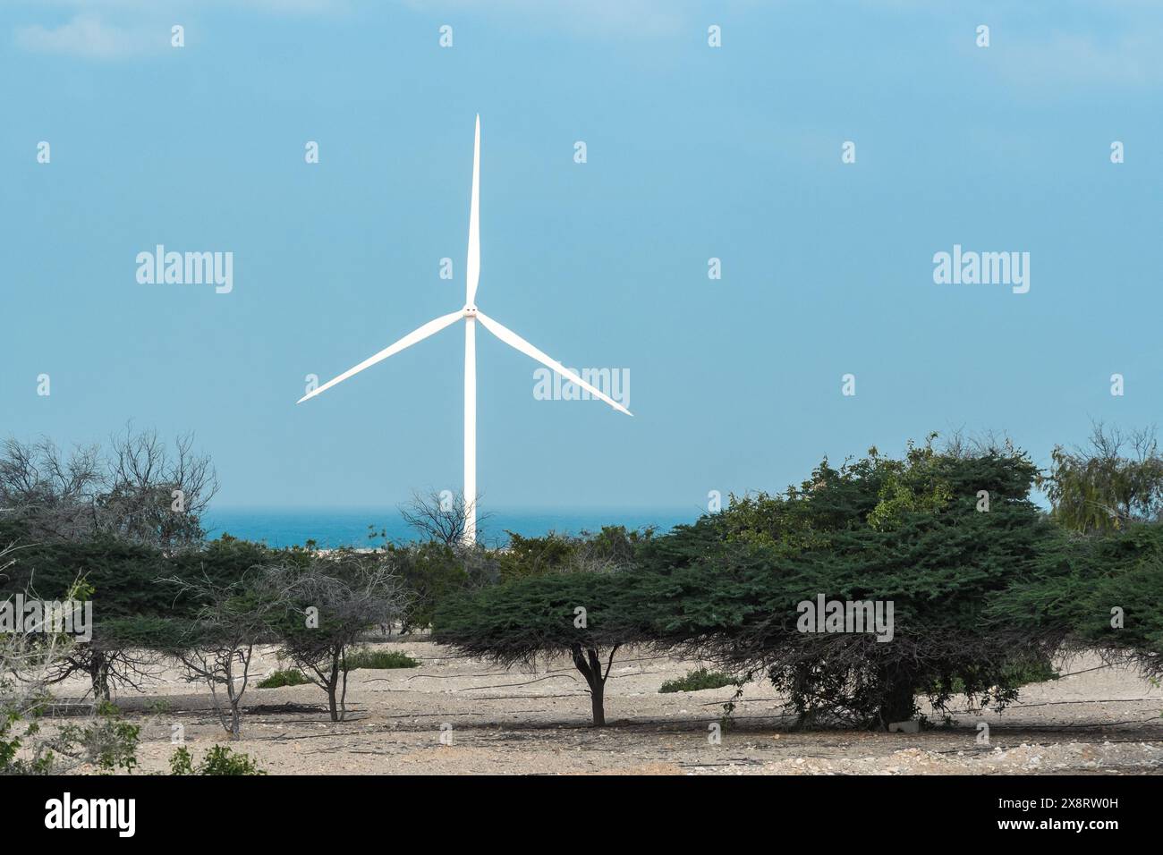 Sir Bani Yas, VAE - 5. Januar 2024: Eine Windkraftanlage steht in Sir Bani Yas, VAE, hoch und ist ein Leuchtturm für nachhaltige Energie in der Umgebung der Wüste. Stockfoto