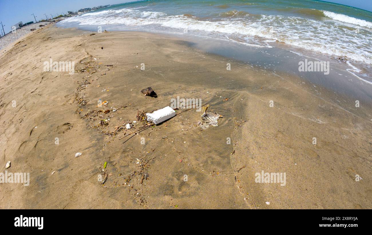 Fotografie eines Strandes in Oman Muscat mit toten Vogelknochen und Meeresmüll während des sonnigen Frühlingstages Stockfoto