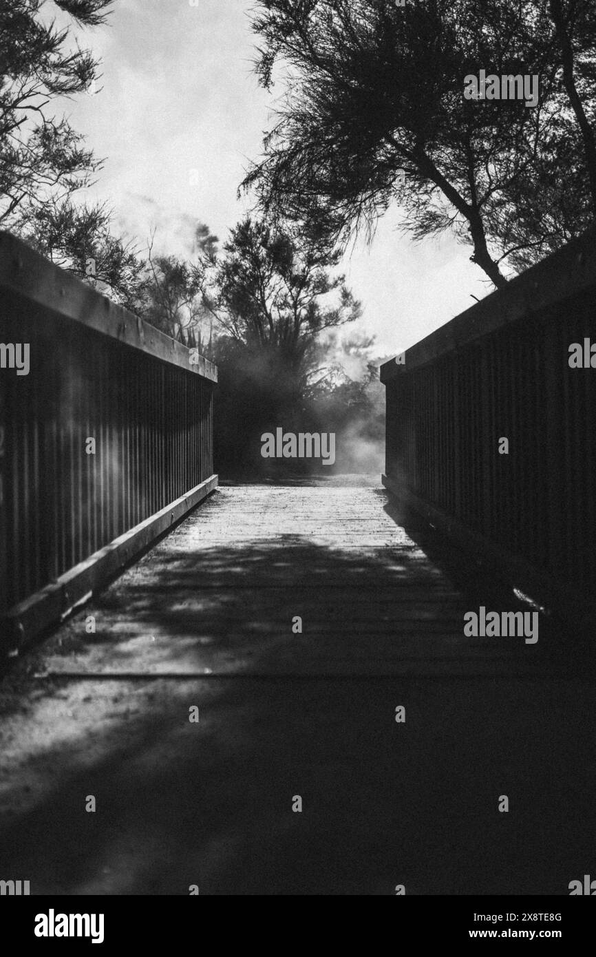 Brücke über eine Schwefelquelle in Rotorua, Neuseeland Stockfoto
