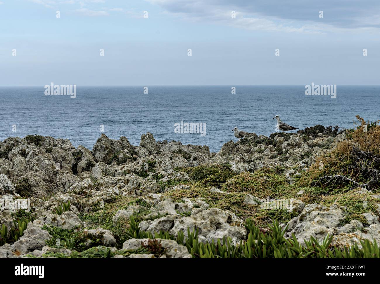 Malerischer Blick auf die zerklüfteten Klippen und den Atlantischen Ozean im Cabo San Vicente, Portugal. Die einzigartigen Felsformationen und die nebelige Atmosphäre schaffen einen Dramat Stockfoto