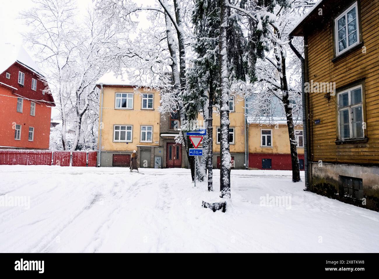 Bäume im Frühling Schnee, eine Frau spaziert entlang, Uus Maailm (neue Welt), ein Unterbezirk in Kesklinn (Stadtzentrum), Tallinn, Estland. Stockfoto