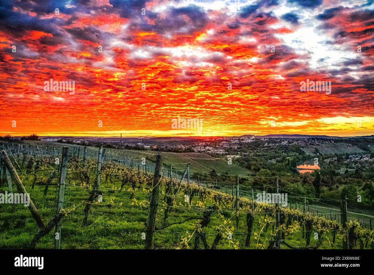 Fantastischer Sonnenuntergang über Stuttgart Neckar, Weinberge, Neckartal, Bad Cannstatt, Münster Stockfoto