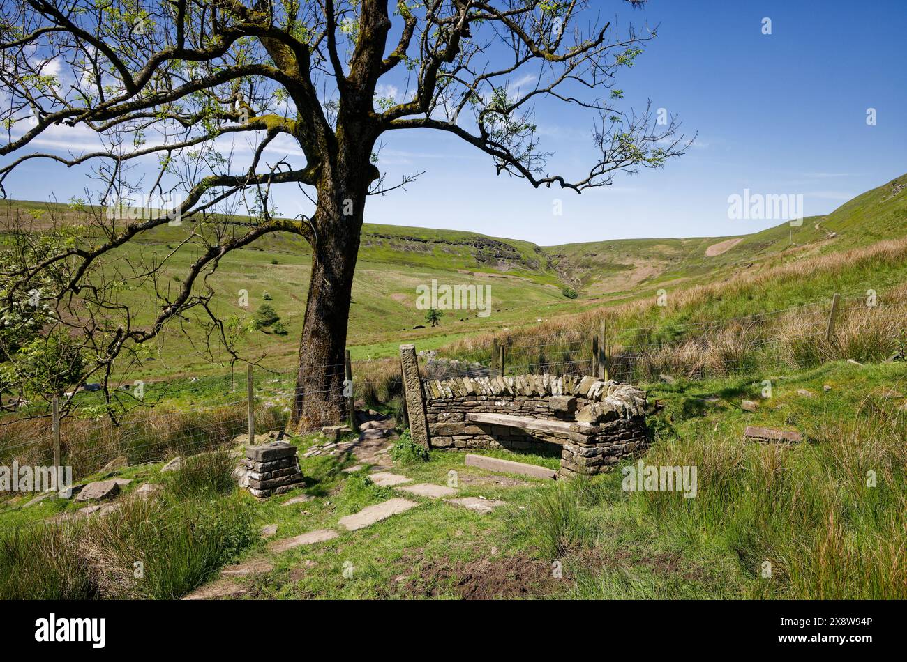 Eine Steinbank neben einem Pfad in einem Tal der West Pennine Hills in der Nähe von Ramsbottom, Bury, Lancashire. Stockfoto