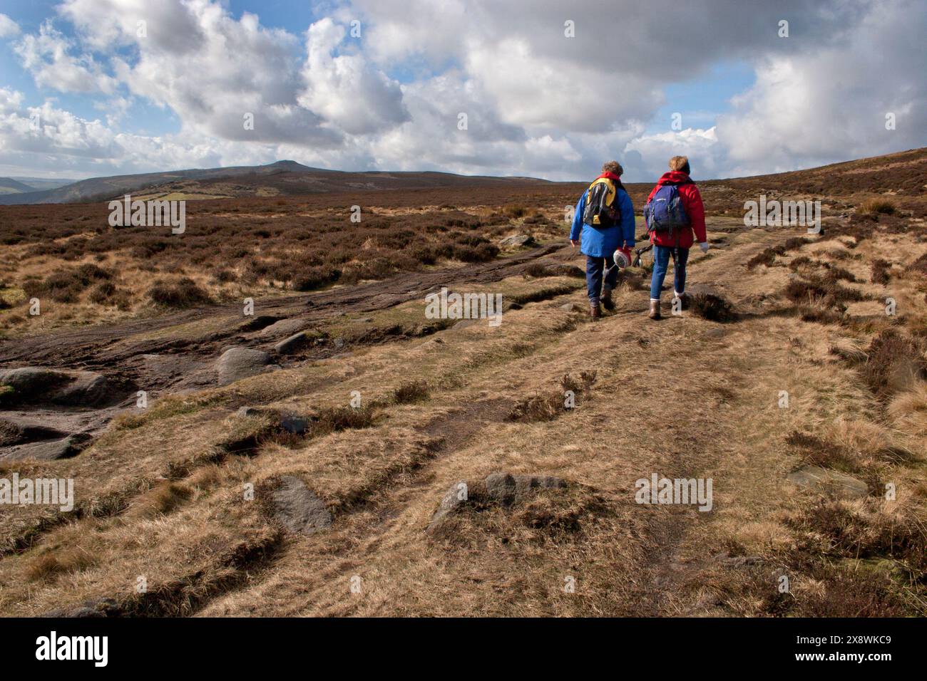 High Peak Estate, Whinstone Lee Fields, Derwent Valley, Peak District, Derbyshire, England Stockfoto