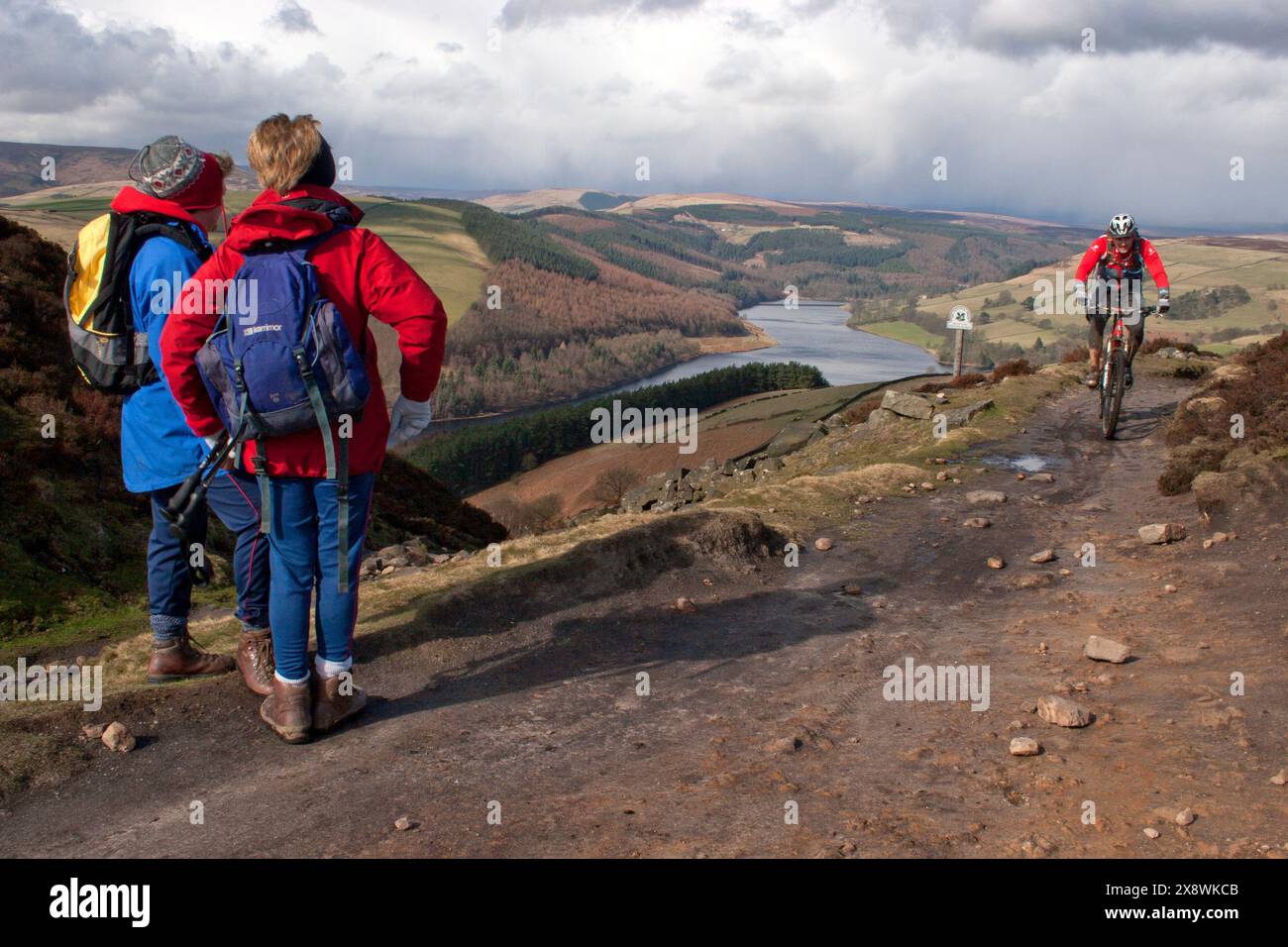 Walkers, High Peak Estate, Whinstone Lee Fields, Derwent Valley, Peak District, Derbyshire, England Stockfoto