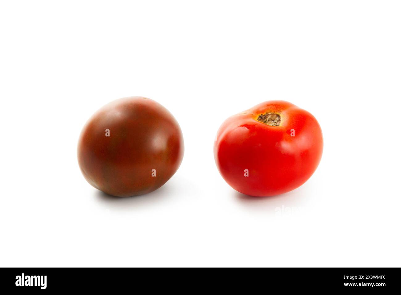 Sortiment von verschiedenen Farben ganze reife saftige Tomaten mit weichem Schatten isoliert auf weißem Hintergrund mit Schnittpfad. Gemüsesammlung auf weiß. Stockfoto