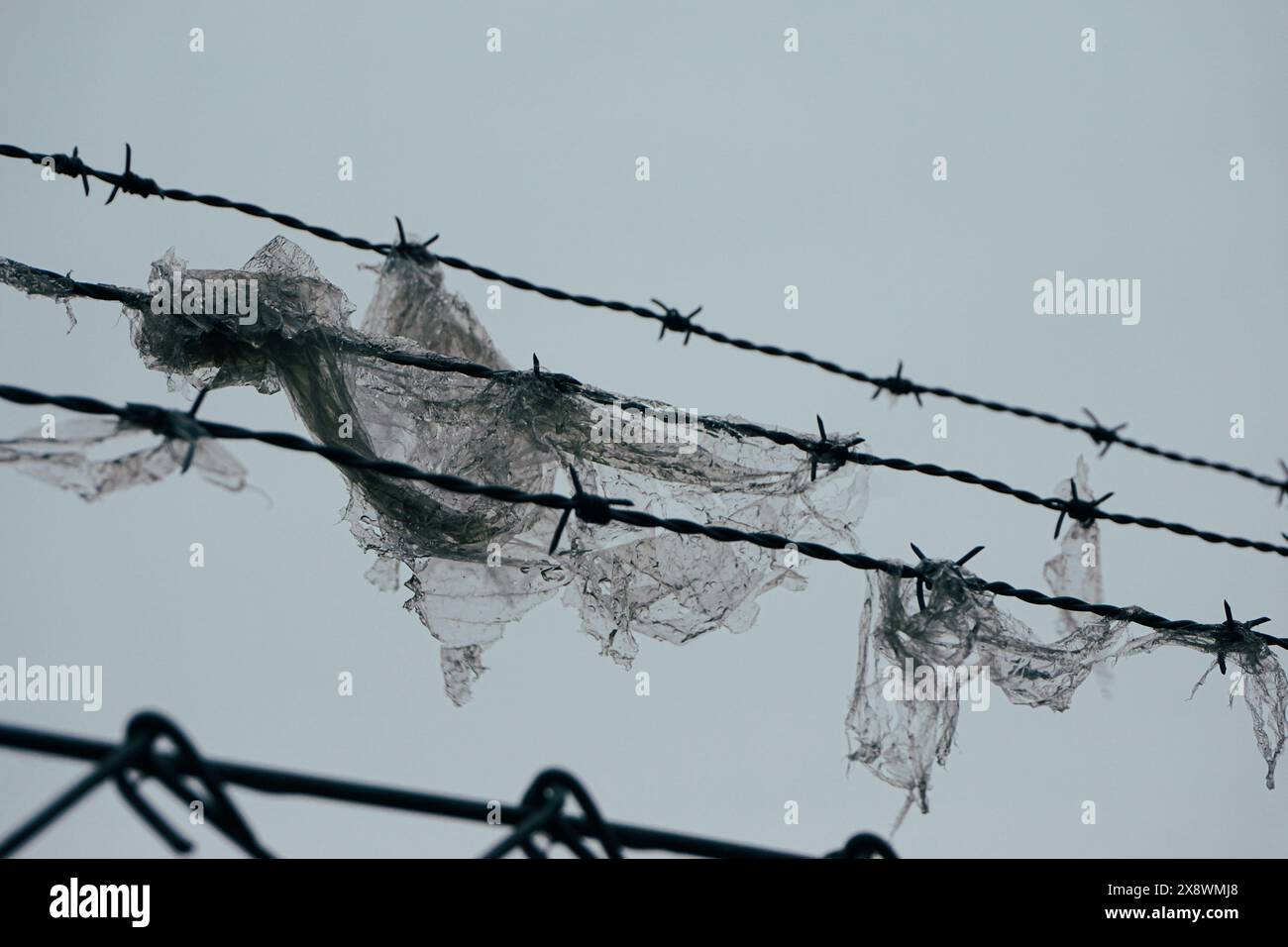 Gerissene Plastiktüte am Stacheldrahtzaun Stockfoto