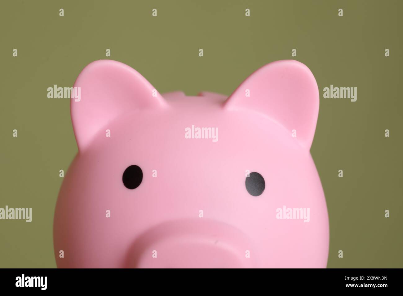 Rosa Schweinebank auf olivem Hintergrund, Nahaufnahme Stockfoto