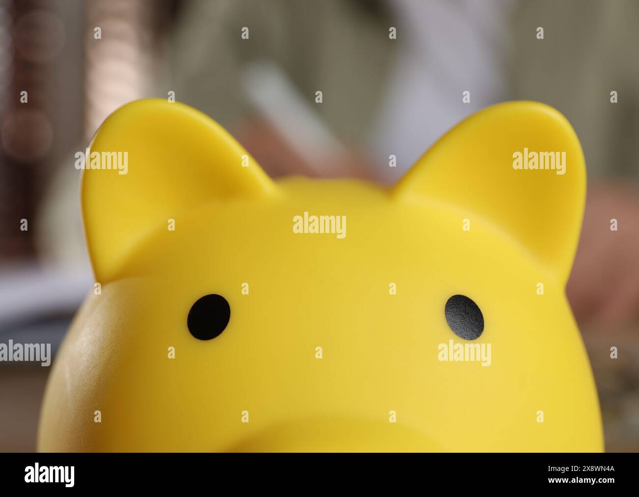 Gelbe Schweinebank auf verschwommenem Hintergrund, Nahaufnahme Stockfoto
