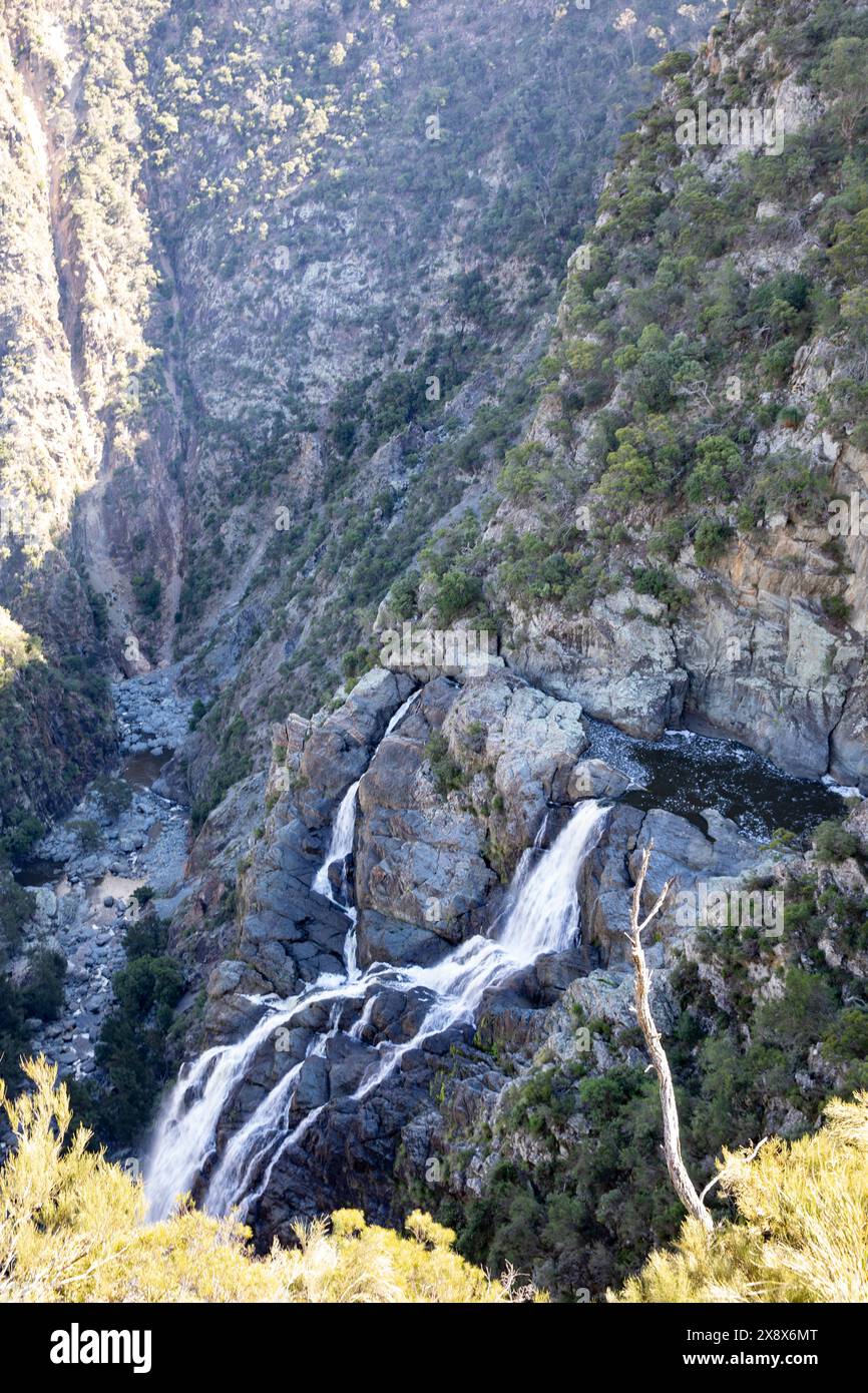 Wollemombi Wasserfall Falls im Oxley Rivers National Park, Australiens zweitgrößter Wasserfall, mit chandler Falls in NSW, Australien Stockfoto