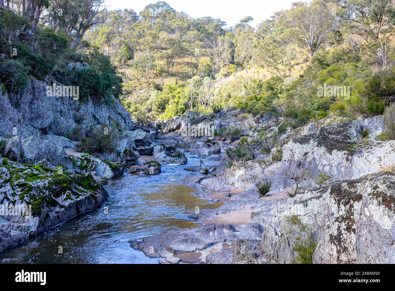 Wollemombi River im Oxley Rivers Nationalpark, der zum zweitgrößten Wasserfall Australiens, NSW, Australien, fließt Stockfoto