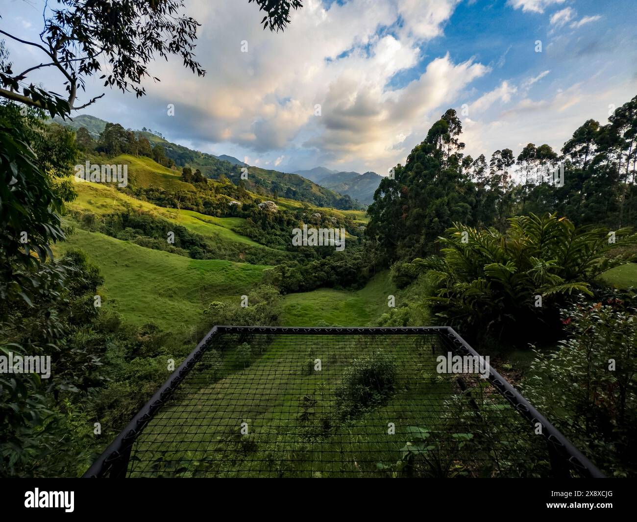 Die ländliche Landungsform aus Wald und Kuhweide, aus Sicht von Cabana Ecolodge Jacuzzy - Salento, Kolumbien Stockfoto