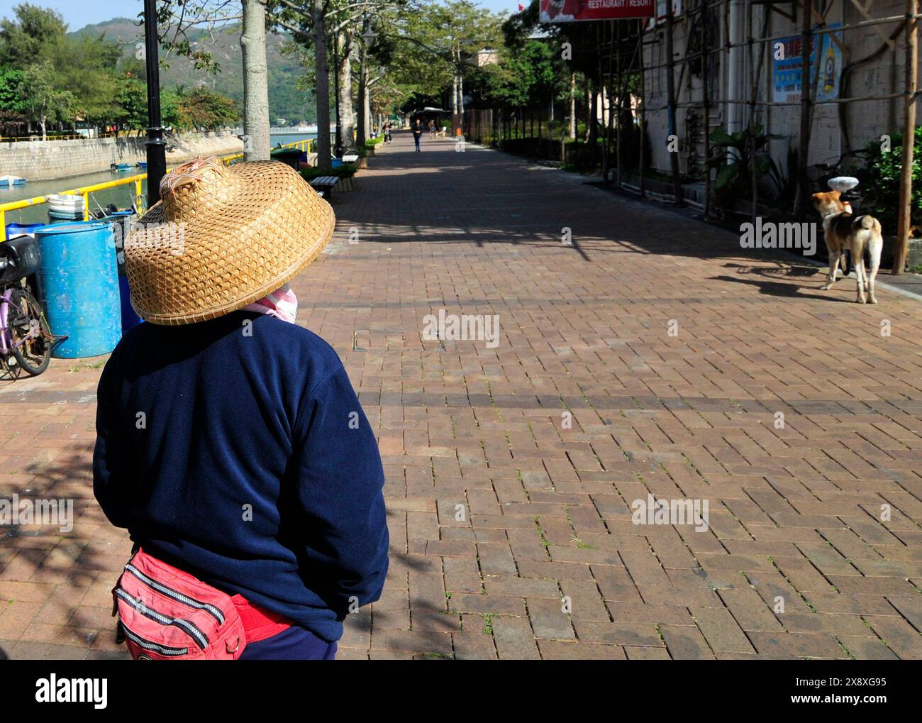 Eine einheimische Frau in Mui Wo, Lantau Island, Hongkong. Stockfoto