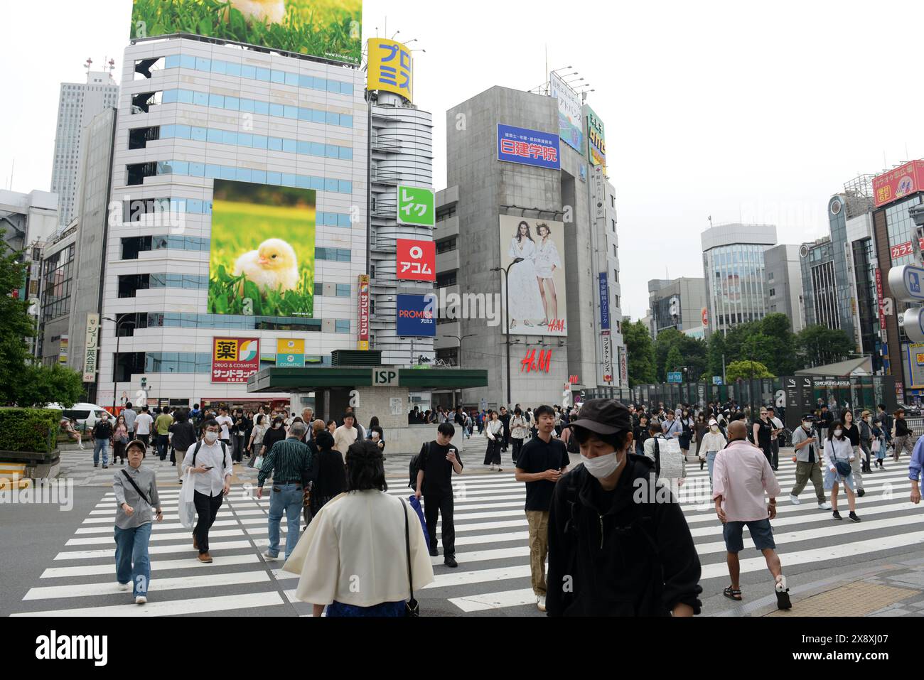 Fußgänger überqueren die Straße in Ikebukuro, Tokio, Japan. Stockfoto