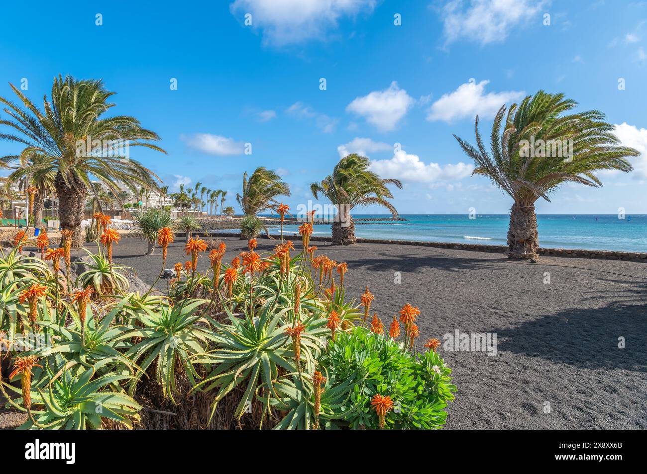 Landschaft mit Costa Teguise auf Lanzarote, Kanarische Inseln Stockfoto