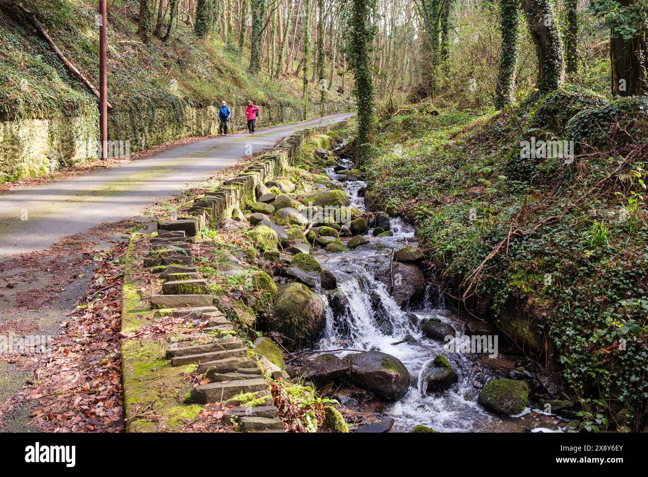 Stream läuft neben einer Landstraße mit zwei Frauen, die hinunter laufen. Bangor, Gwynedd, Nordwales, Großbritannien Stockfoto