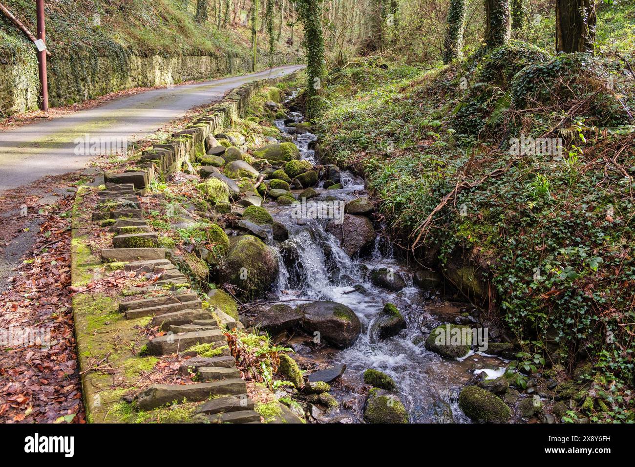 Der Fluss läuft entlang einer Landstraße in der Nähe von Bangor, Gwynedd, Nordwales, Großbritannien Stockfoto