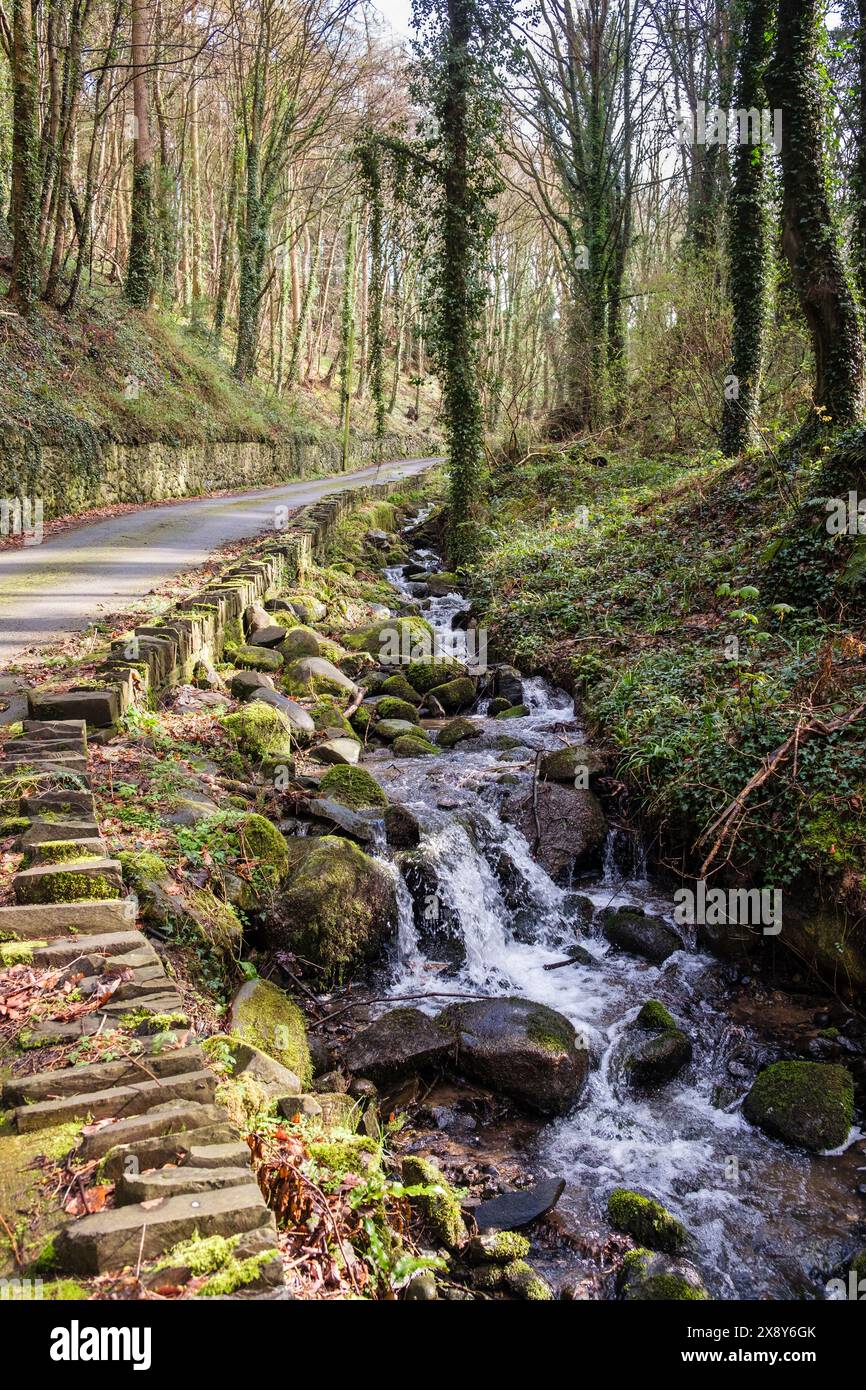 Der Fluss läuft entlang einer Landstraße in der Nähe von Bangor, Gwynedd, Nordwales, Großbritannien Stockfoto