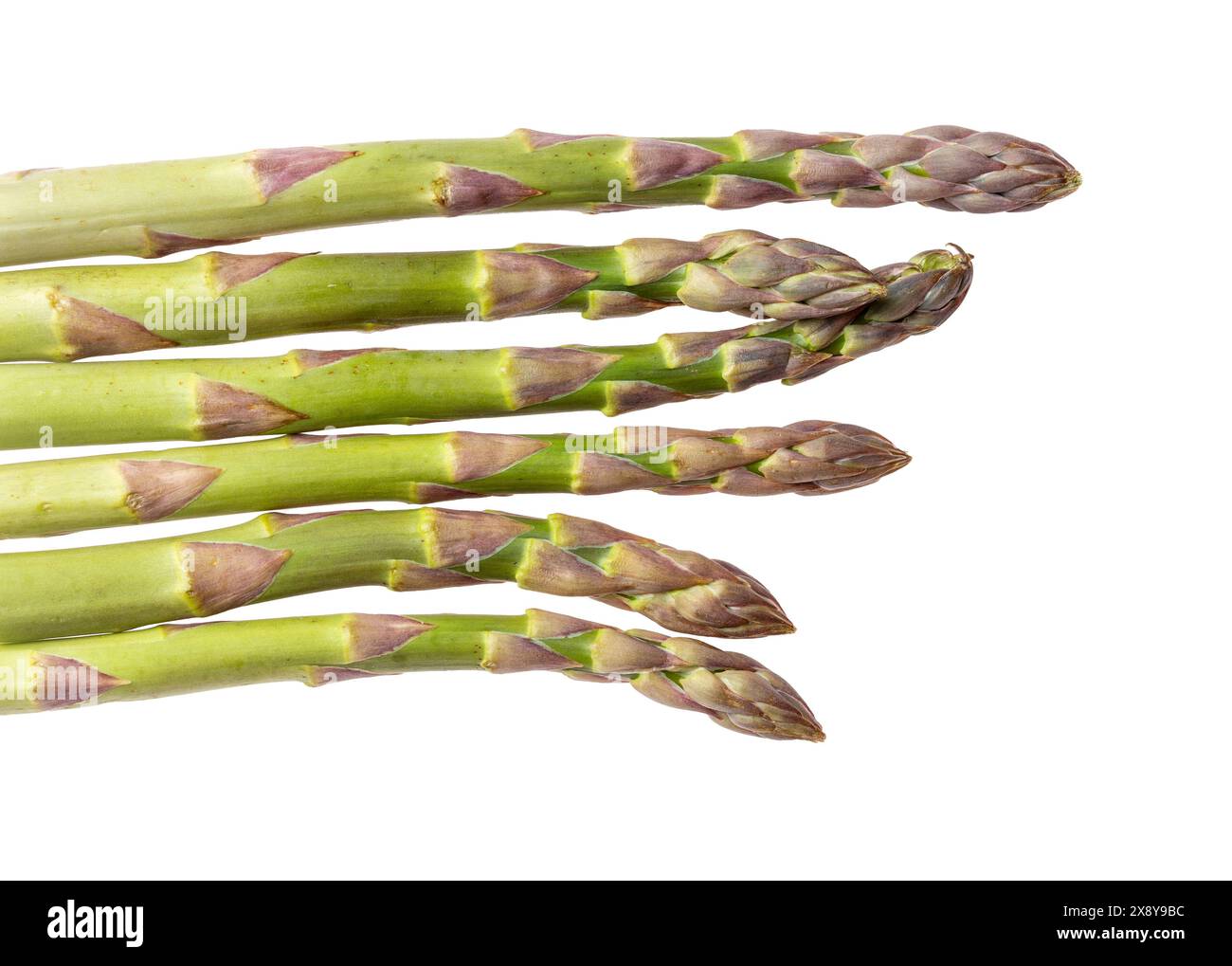 Grüne Spargelspitzen auf weißem Hintergrund Stockfoto
