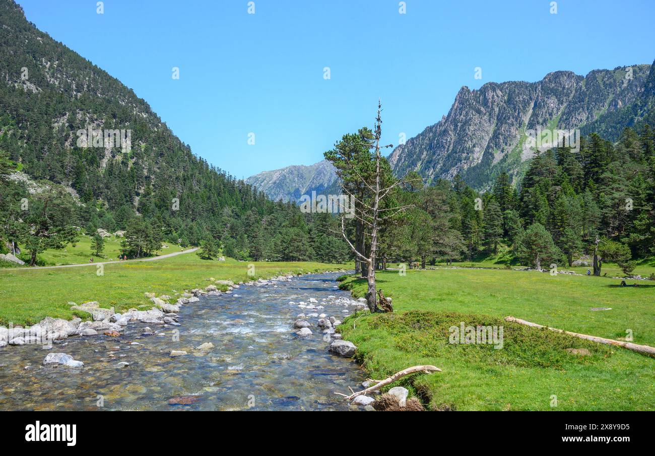 Frankreich, Hautes Pyrenäen, Cauterets, Marcadau-Tal, der Fluss und Bergreasen neben dem Clot Chalet Stockfoto