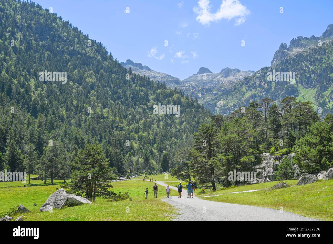 Frankreich, Hautes Pyrenäen, Cauterets, Marcadau-Tal, Wandergruppe auf einem Pfad zum Plateau du Clot Stockfoto