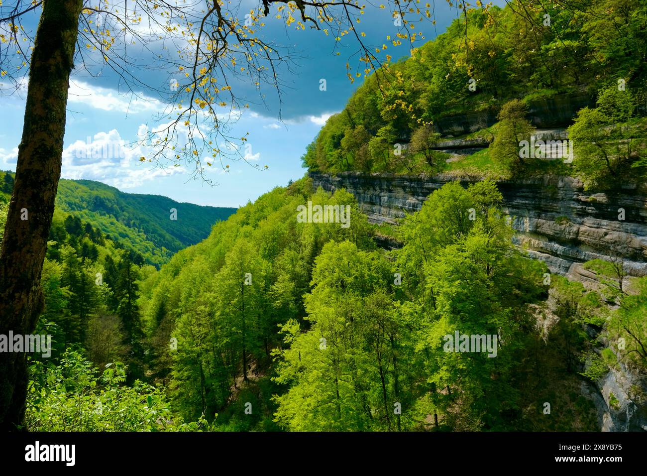 Frankreich, Jura, Doucier, die geheime Naturstätte, die Herisson-Wasserfälle am Hérisson-Bach Stockfoto