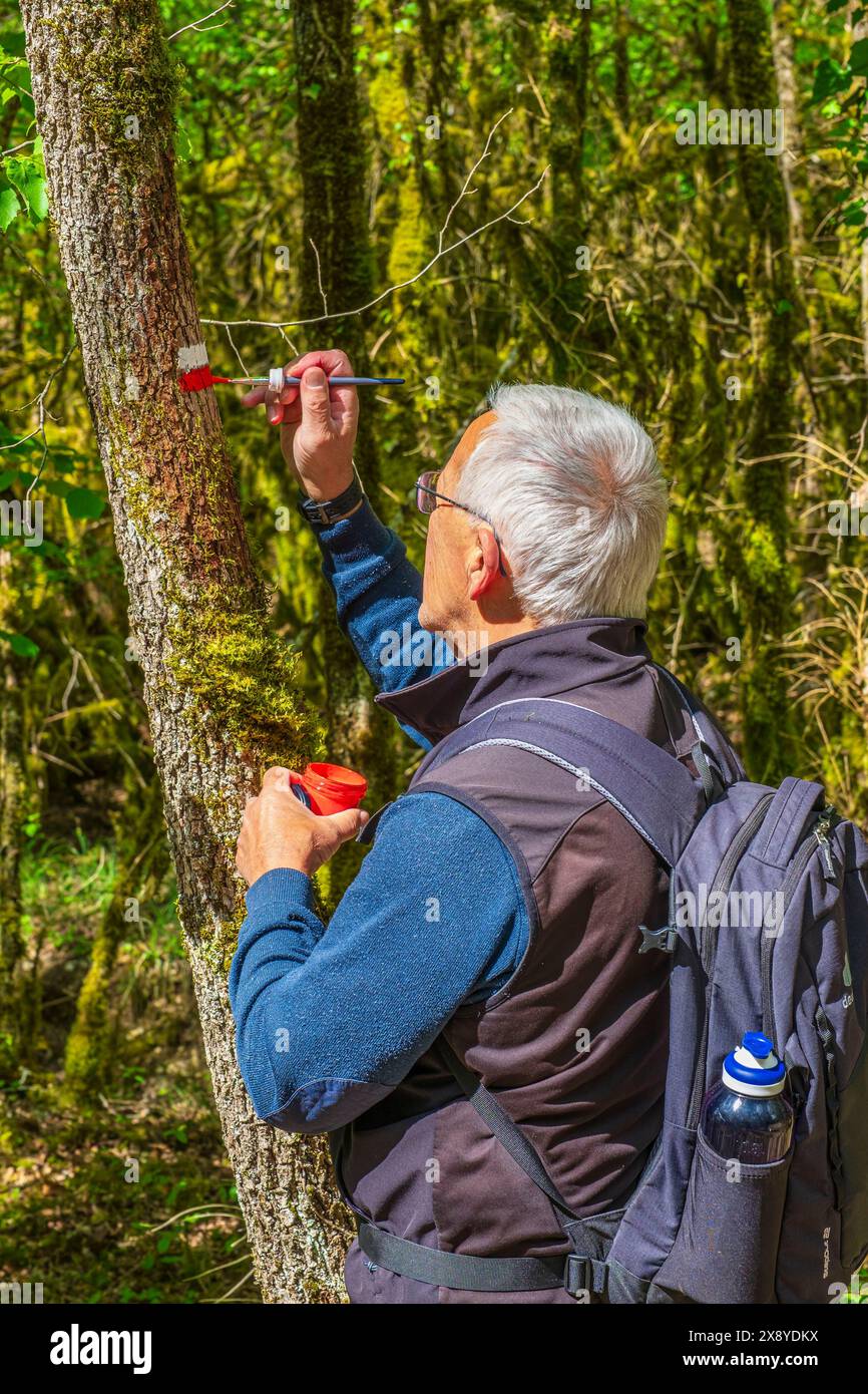 Frankreich, Los, Umgebung von Ratingagenturen, Instandhaltung des Rocamadour-Weges (GR 46), Variante des Weges Le Puy (oder Via Podiensis) in Richtung Santiago de Comp Stockfoto