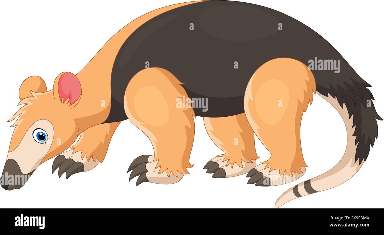 Vektorillustration von Tamandua isoliert auf weißem Hintergrund Stock Vektor