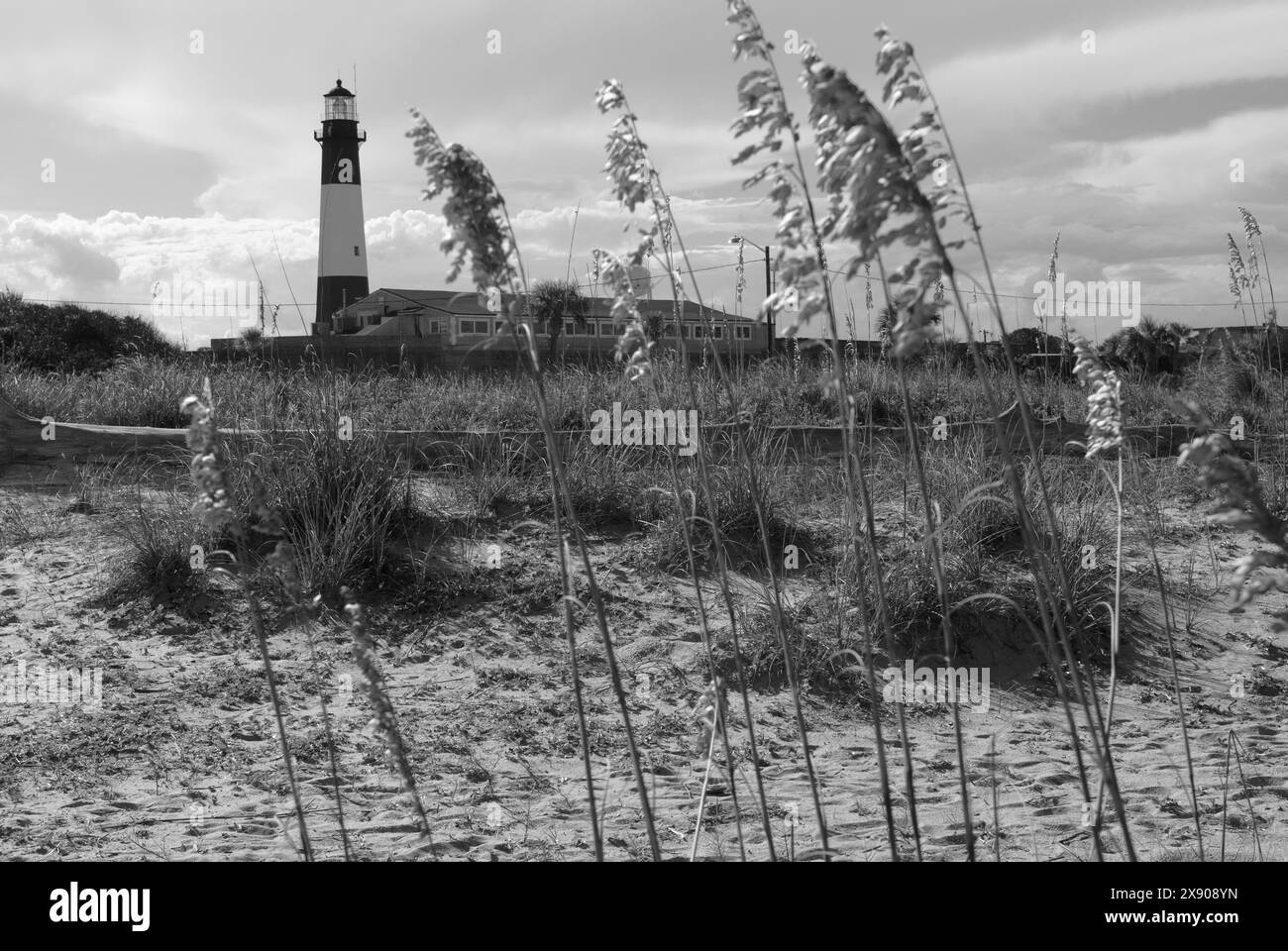 Historischer Leuchtturm von Tybee Island, vom Strand aus gesehen in Georgia, USA. Stockfoto