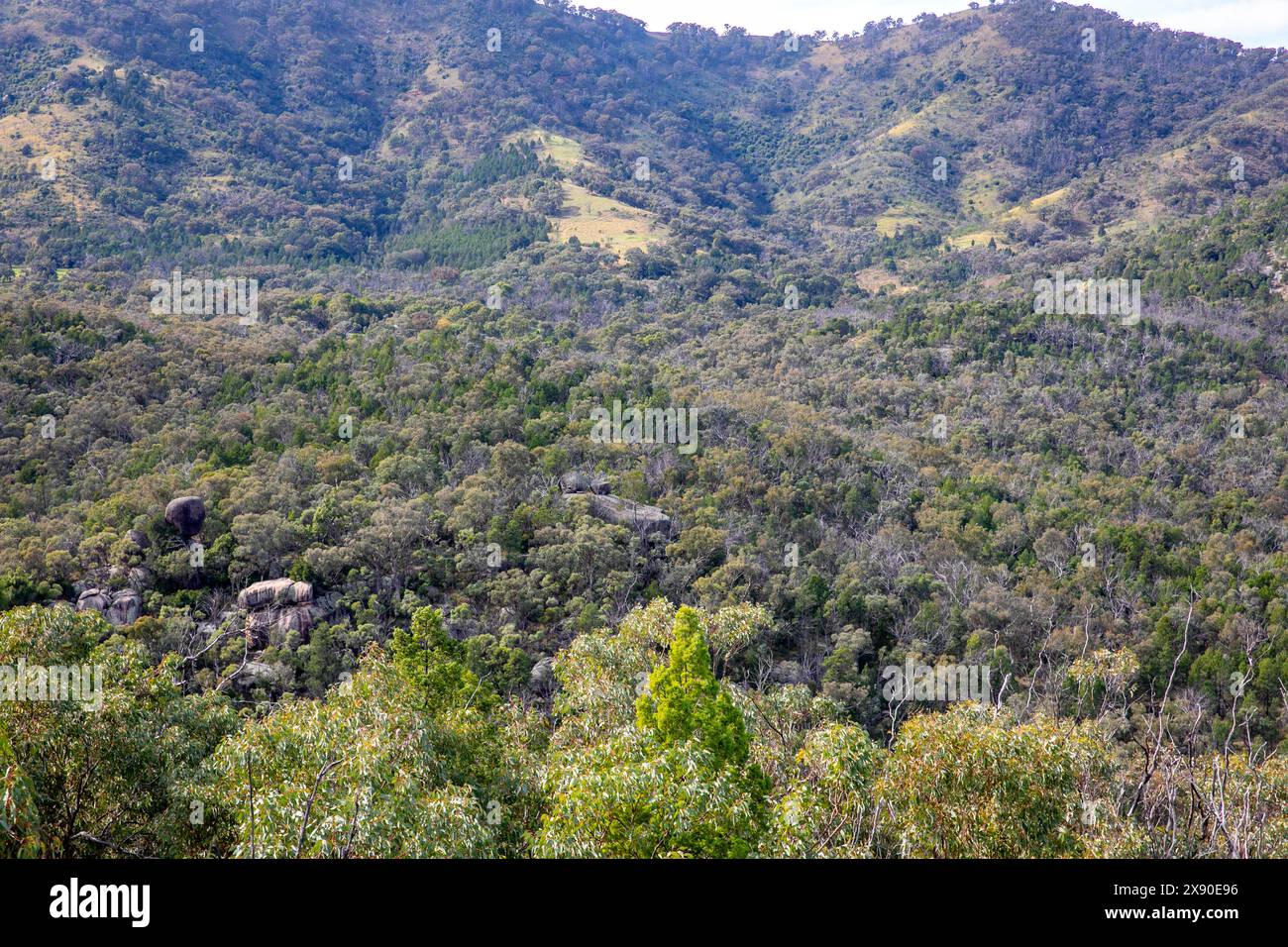 Der Moonbi Park in der Nähe von Tamworth bietet spektakuläre Ausblicke über die Moonbi Mountains in New South Wales, Australien Stockfoto