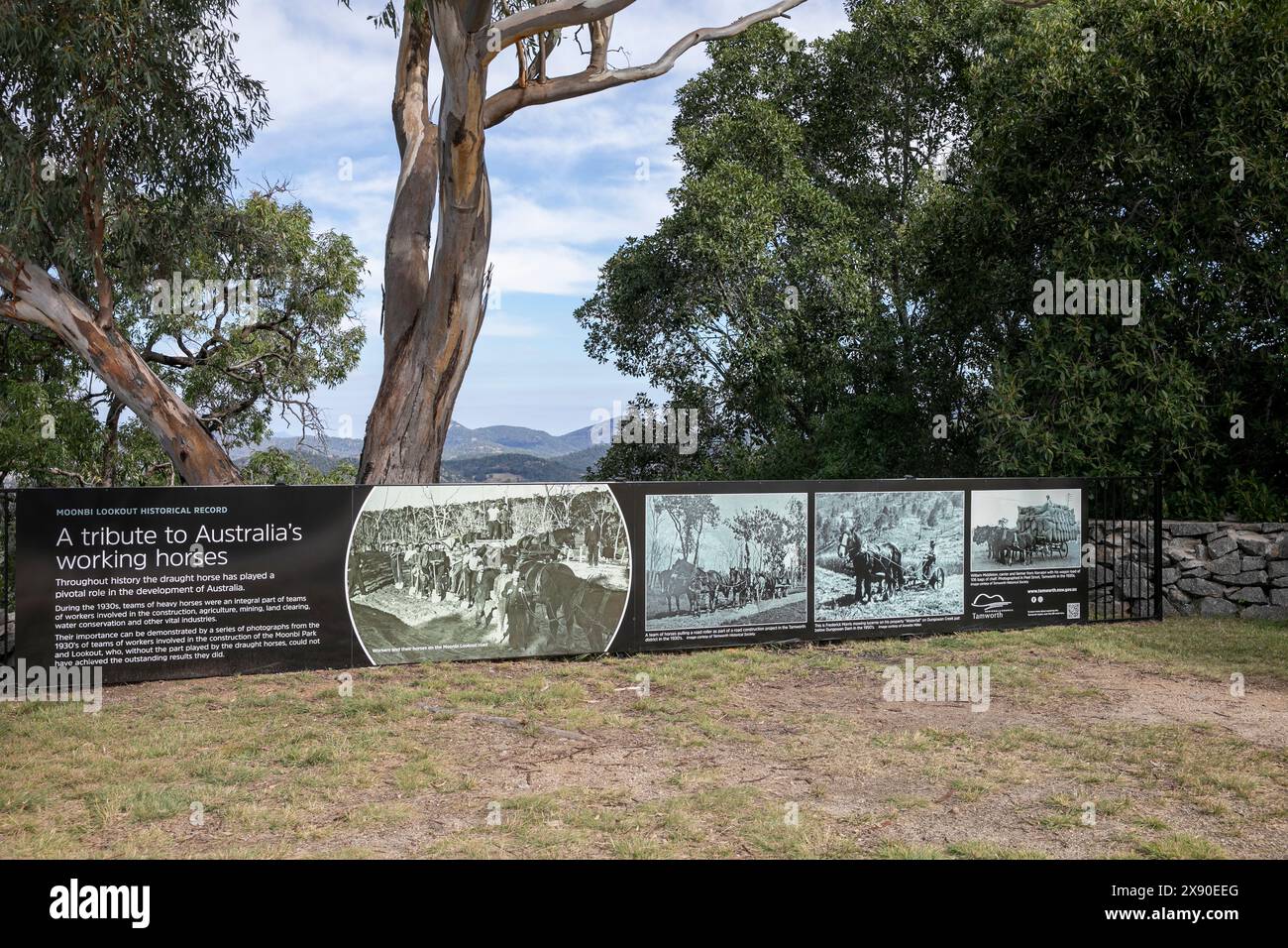 Der Moonbi Park in der Nähe von Tamworth bietet spektakuläre Ausblicke über die Moonbi Mountains in New South Wales, Australien Stockfoto